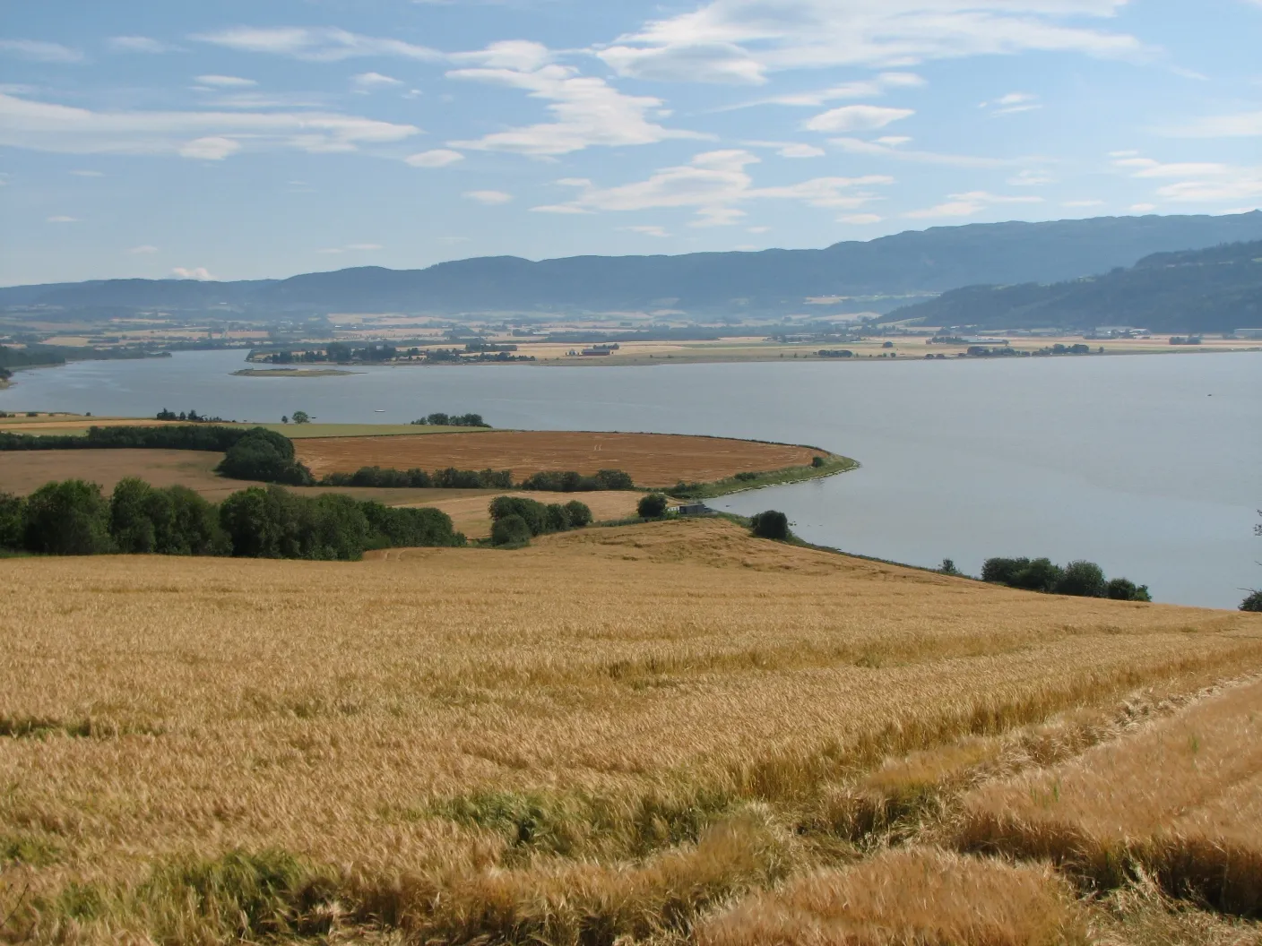 Photo showing: Norwegian lowland landscape near the Gaulosen branch of Trondheimsfjord Norway.