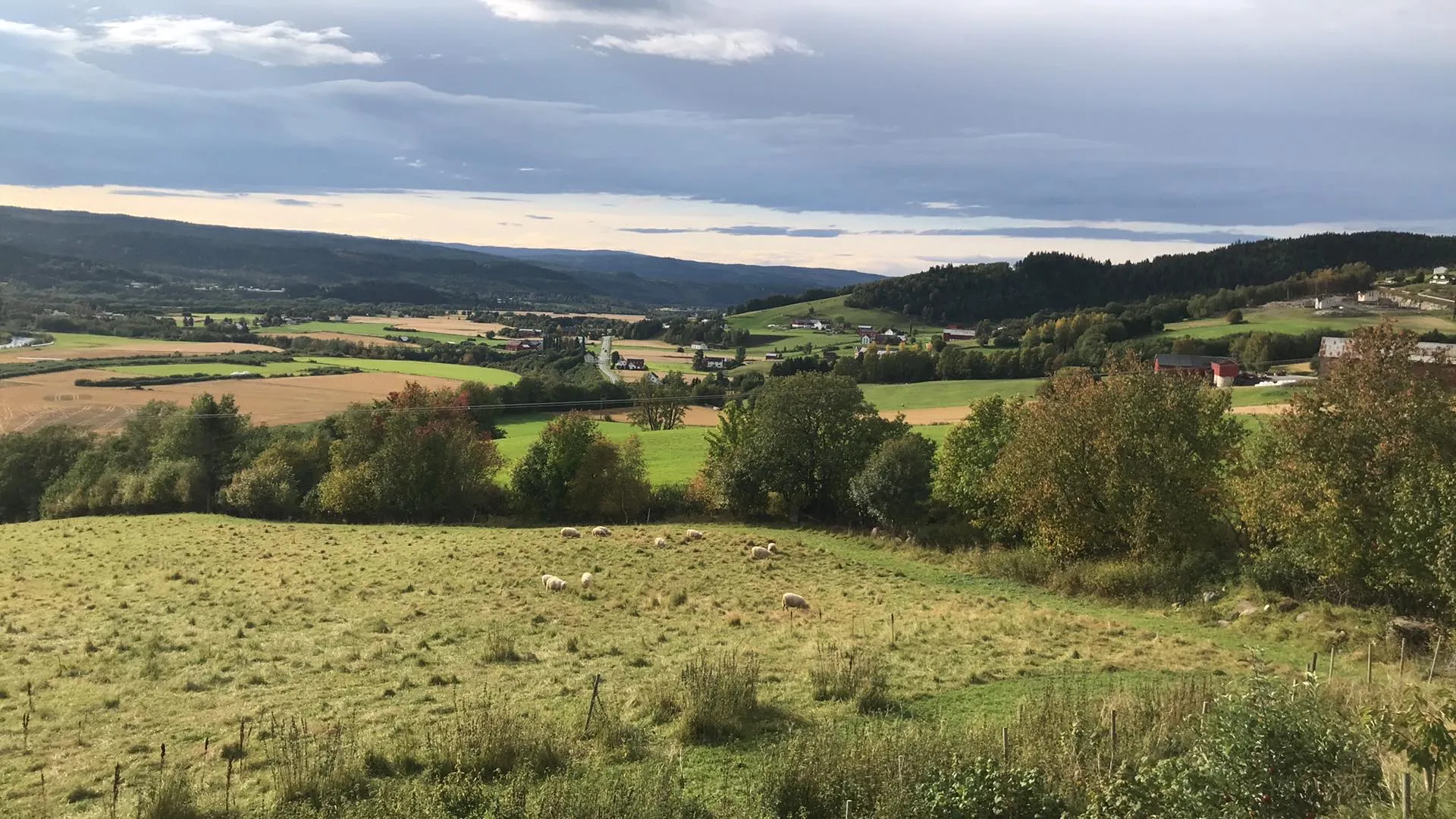 Photo showing: Bilde tatt fra Liavegen i Øverbygda.