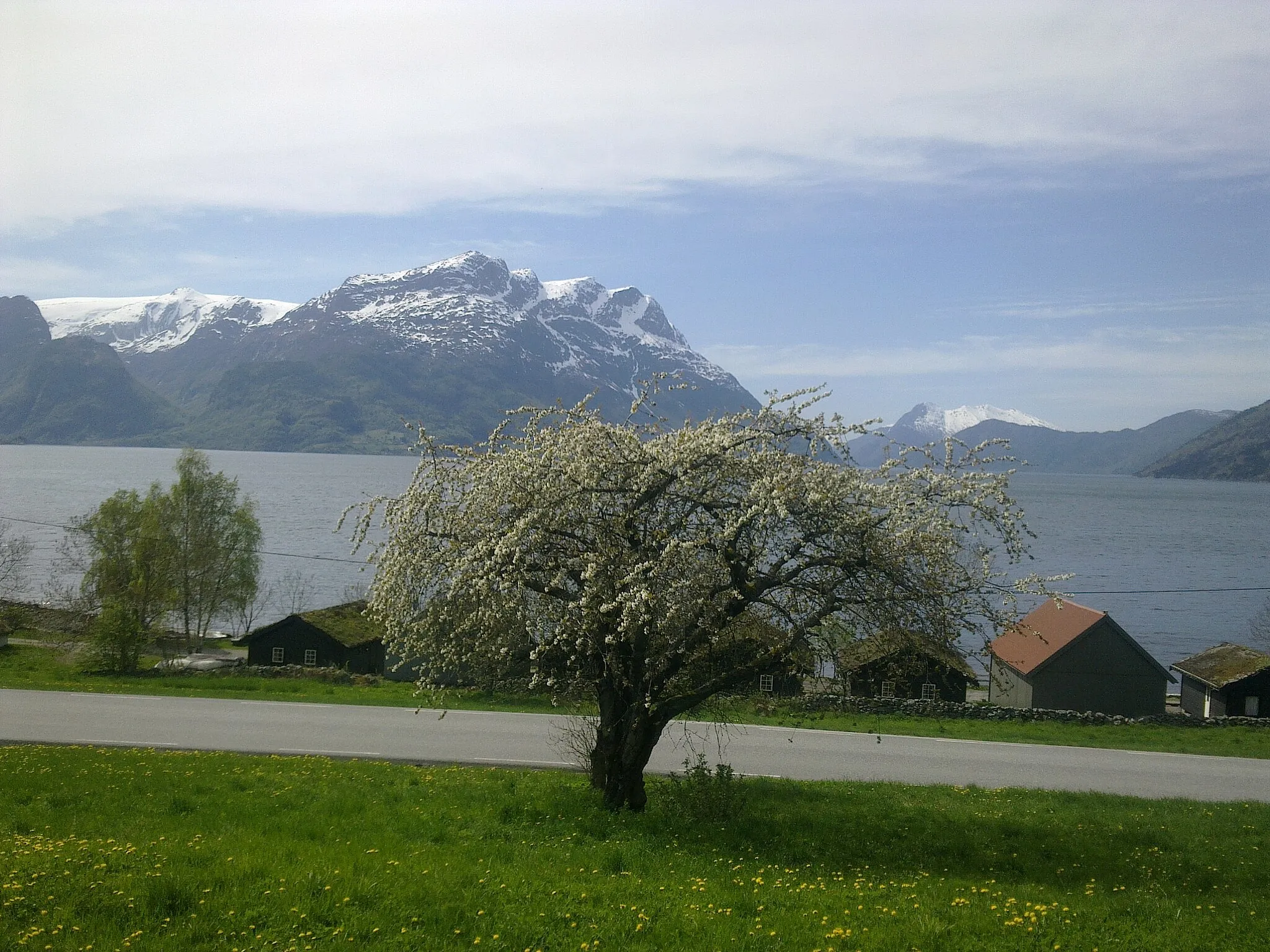 Photo showing: Utsikt mot Ålfoten