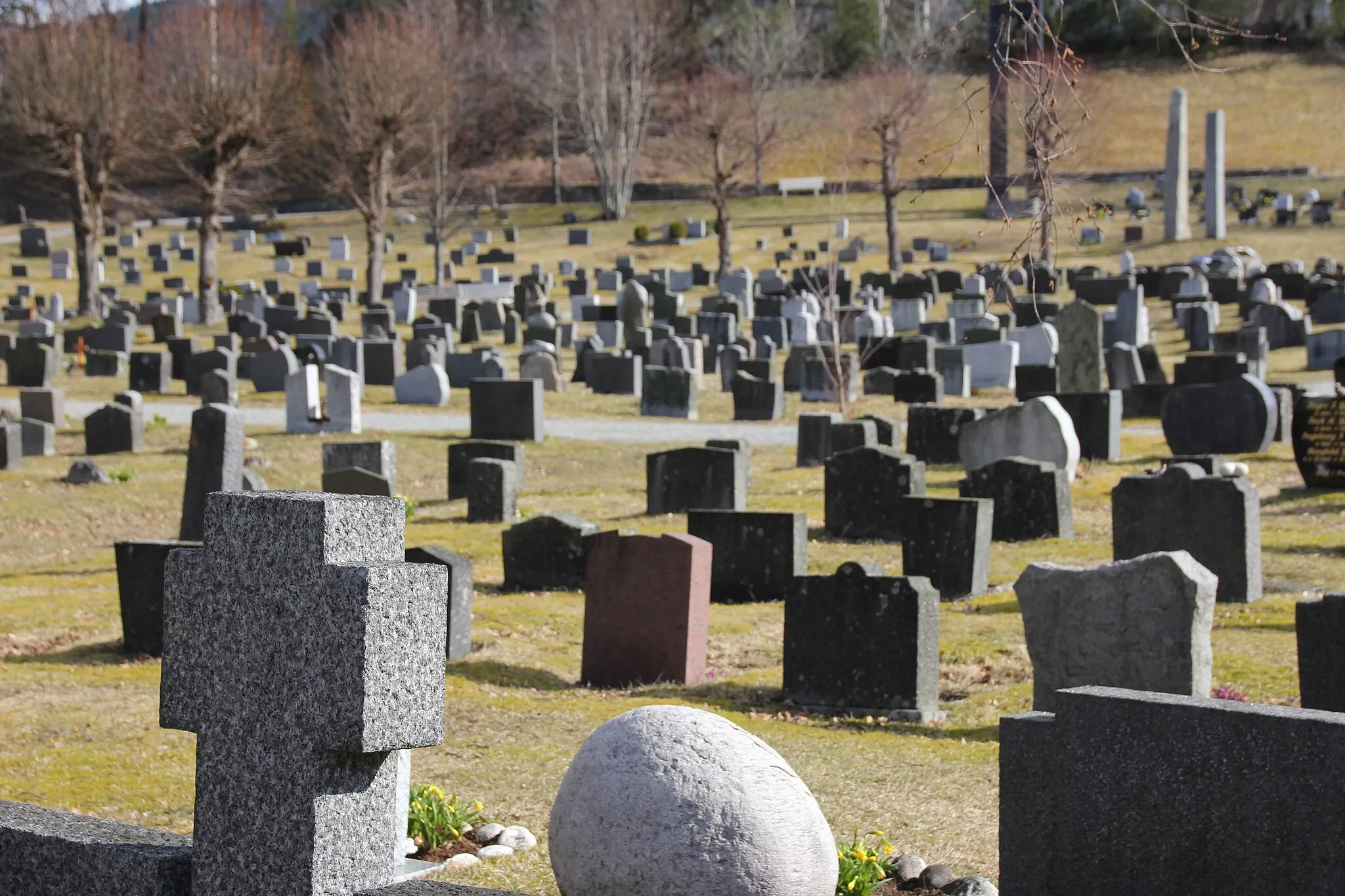 Photo showing: Grave yard