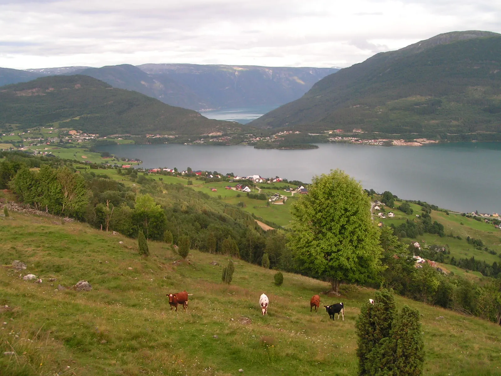 Photo showing: The lake Hafslovatnet with the fjord Sognefjorden in the background. Hafslovatnet is in the Luster municipality in Sogn og Fjordane county in Norway.