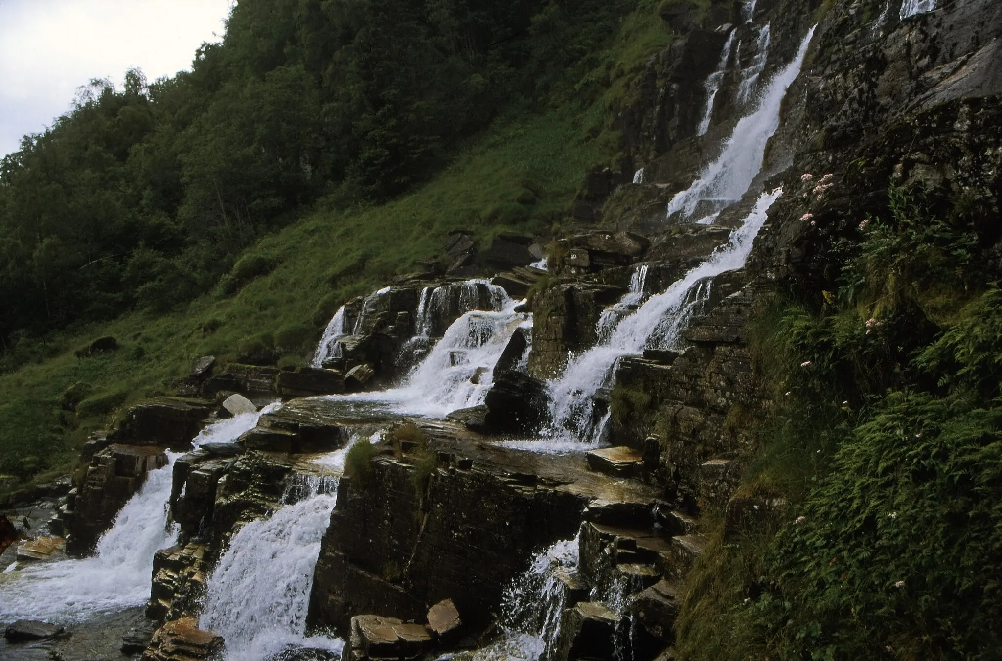 Photo showing: Fahrt von Bergen nach Gudvangen (Tag 4): der Wasserfall Tvindefossen (auch Twinnefossen und Trollafossen genannt) nördlich von Vossevangen