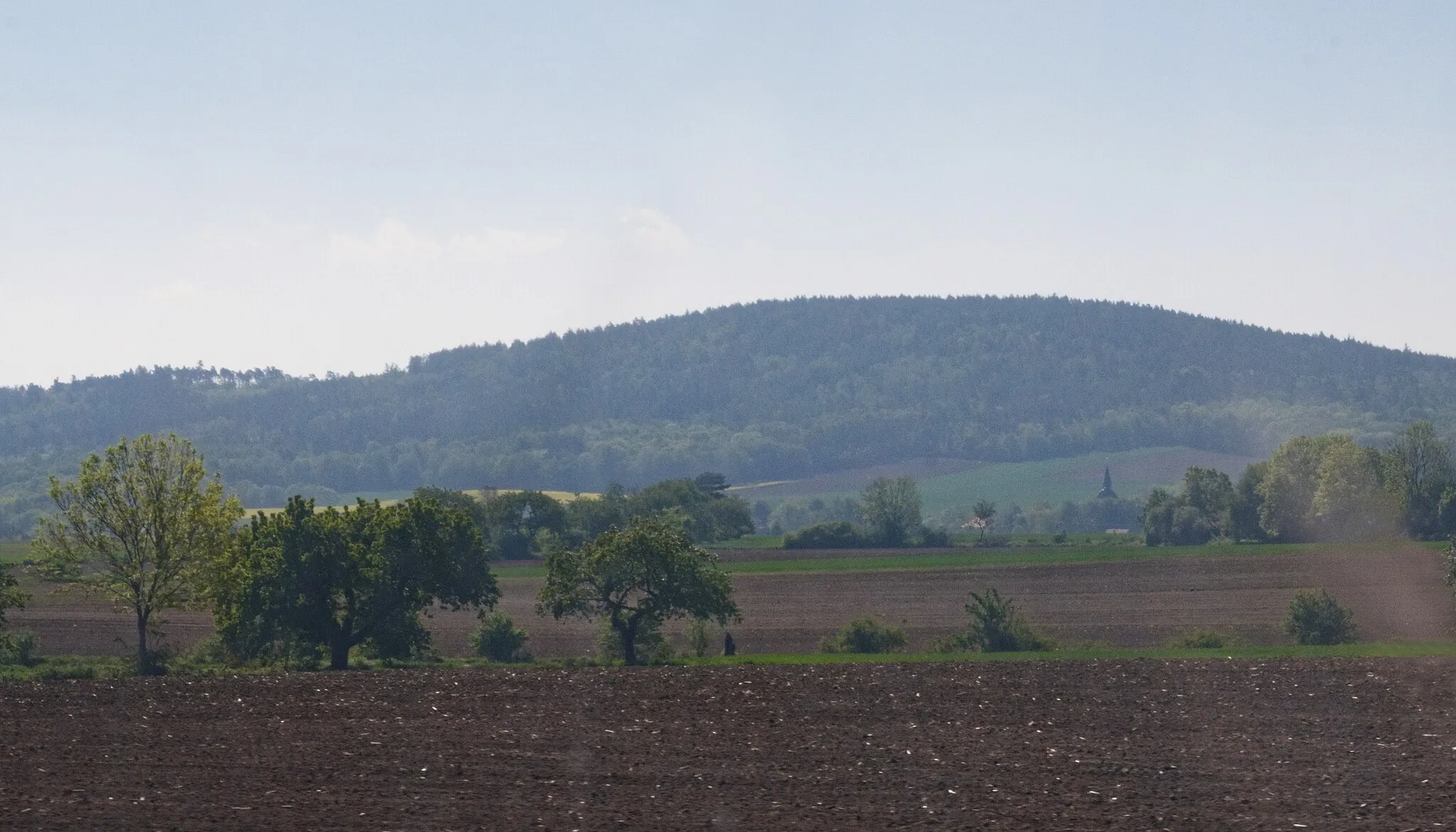 Photo showing: wzniesienie Gozdnik w masywie Ślęży