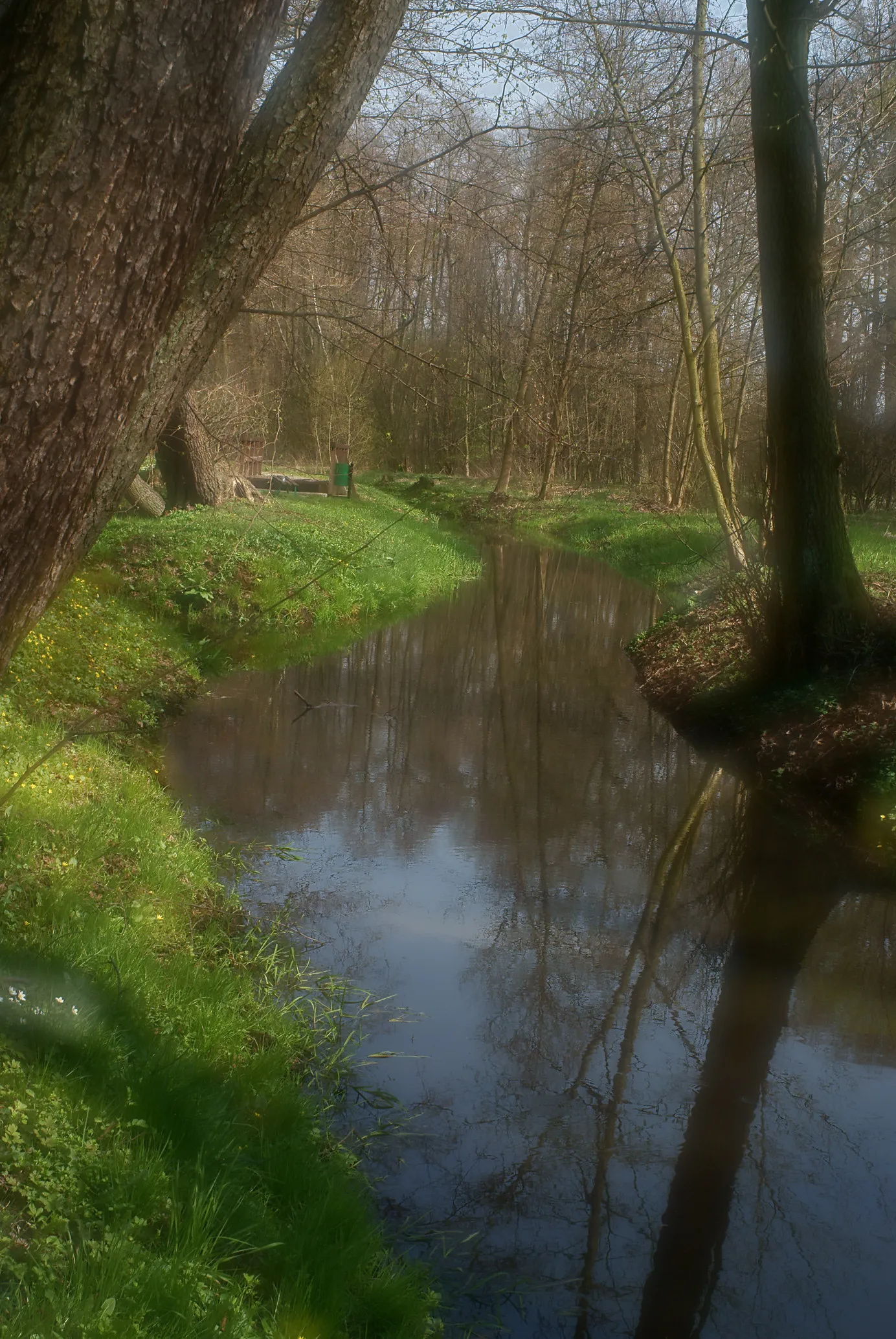 Photo showing: Żuków - park krajobrazowy (zabytek nr A/3443/676/L)