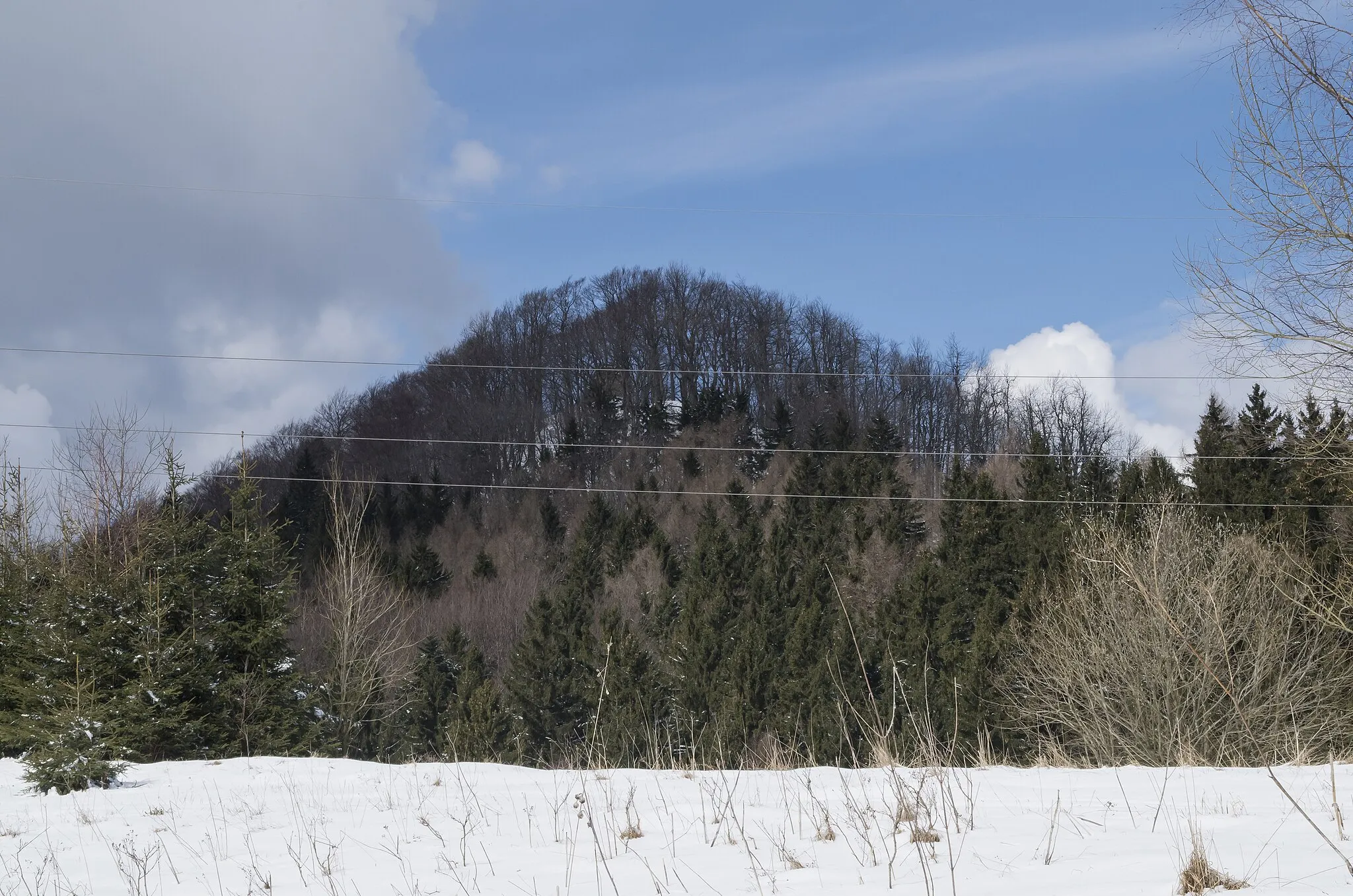 Photo showing: Gomoła Mountain, Lewińskie Hills, Sudety Mountains