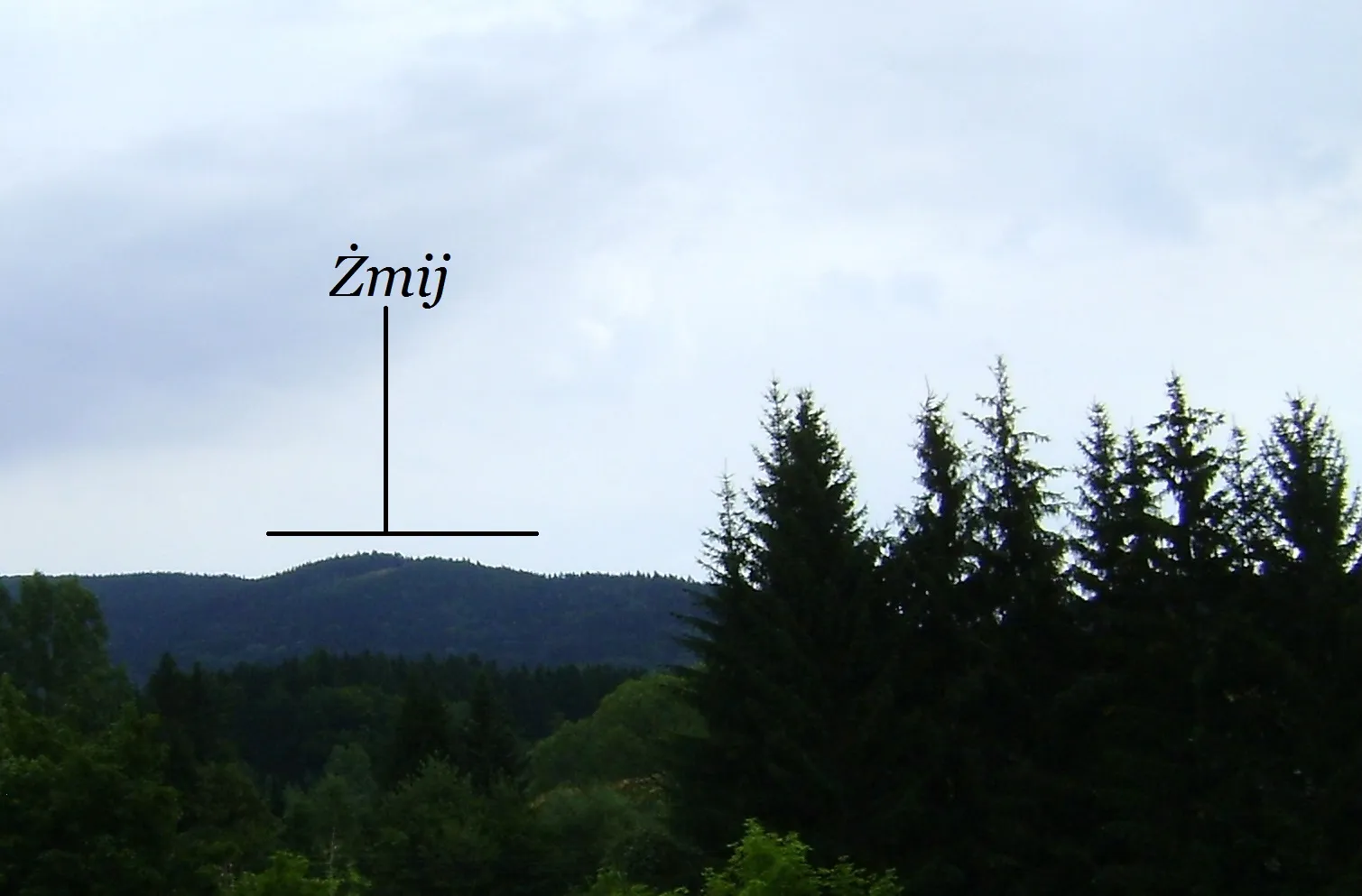 Photo showing: Wzniesienie Żmij (887 m n.p.m.) w południowo-zachodniej Polsce w Sudetach Środkowych w środkowej części Gór Sowich