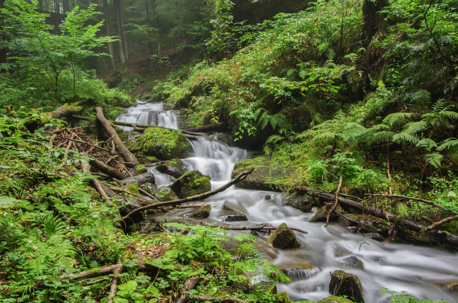 Photo showing: Přírodní památka Vodopády Stříbrného potoka, okres Jeseník