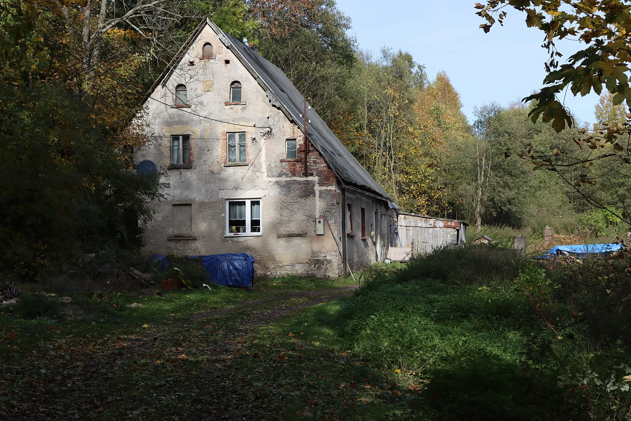 Photo showing: Paczyn, Lower Silesian Voivodeship, Poland.