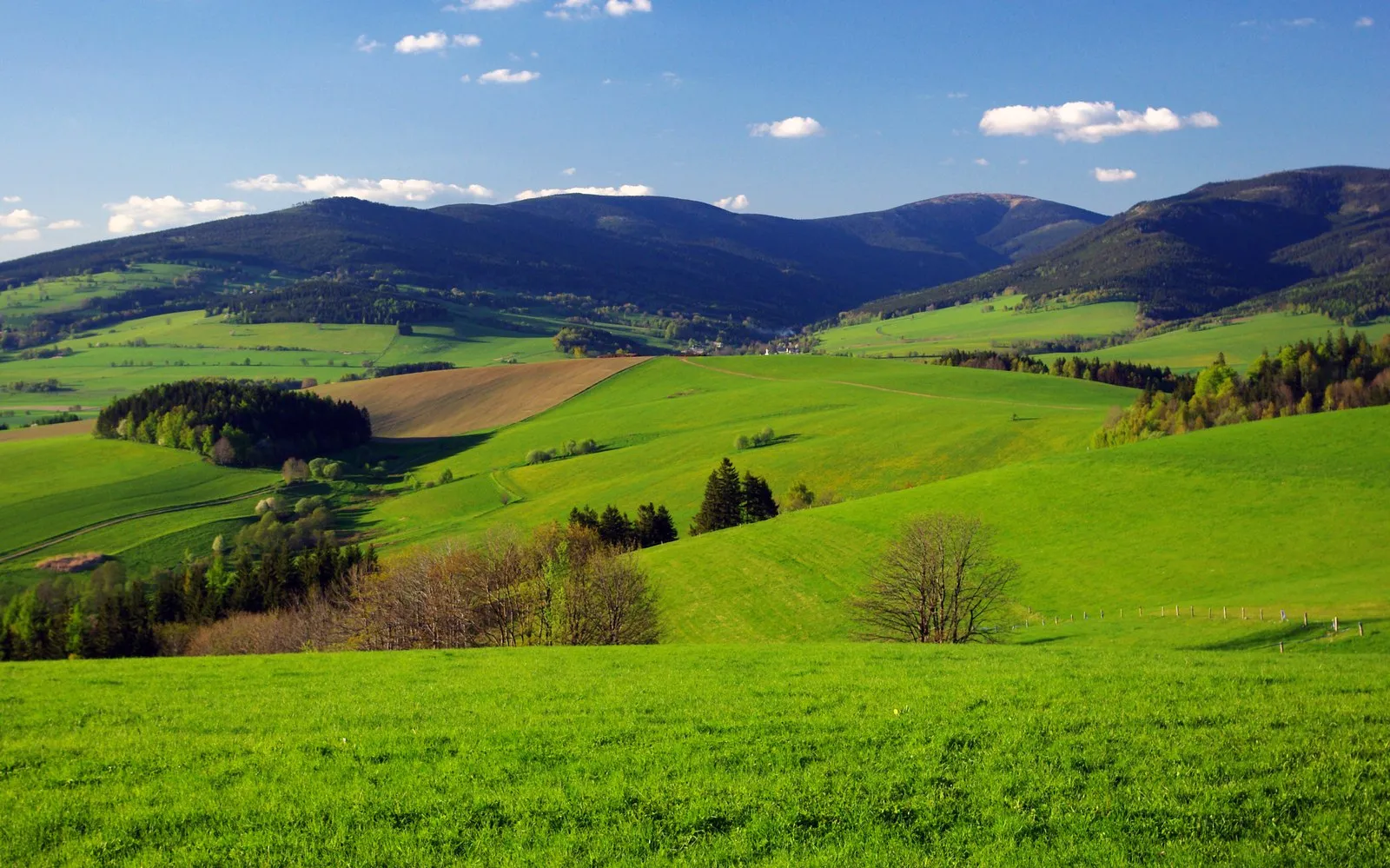 Photo showing: Kralicky Sneznik mountain