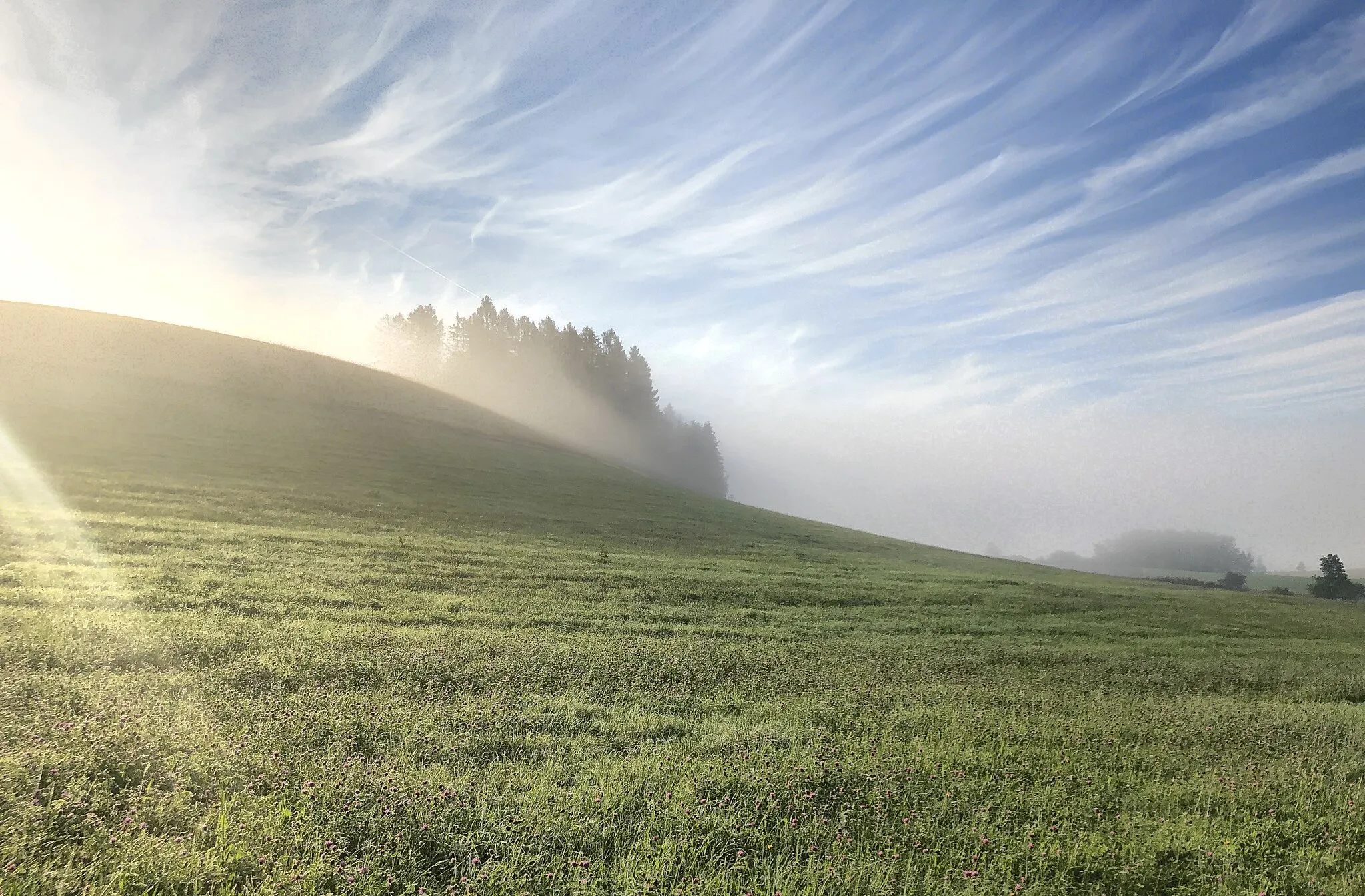 Photo showing: Trying to catch the beauty of early morning. Dew on the meadow, mist wallowing in the valley, and the young sun shining on all of that. Unfortunately, the photo is obviously held back by the camera (iPhone 8).