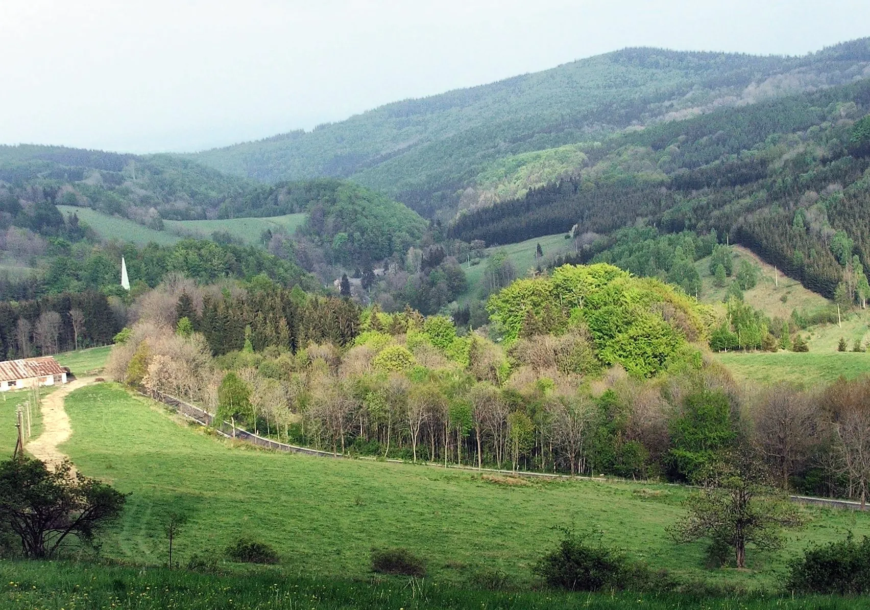 Photo showing: Czeska wieś Zálesí położna w pobliżu przejścia granicznego Lutynia-Travná (gmina Javorník, okręg Jeseník)