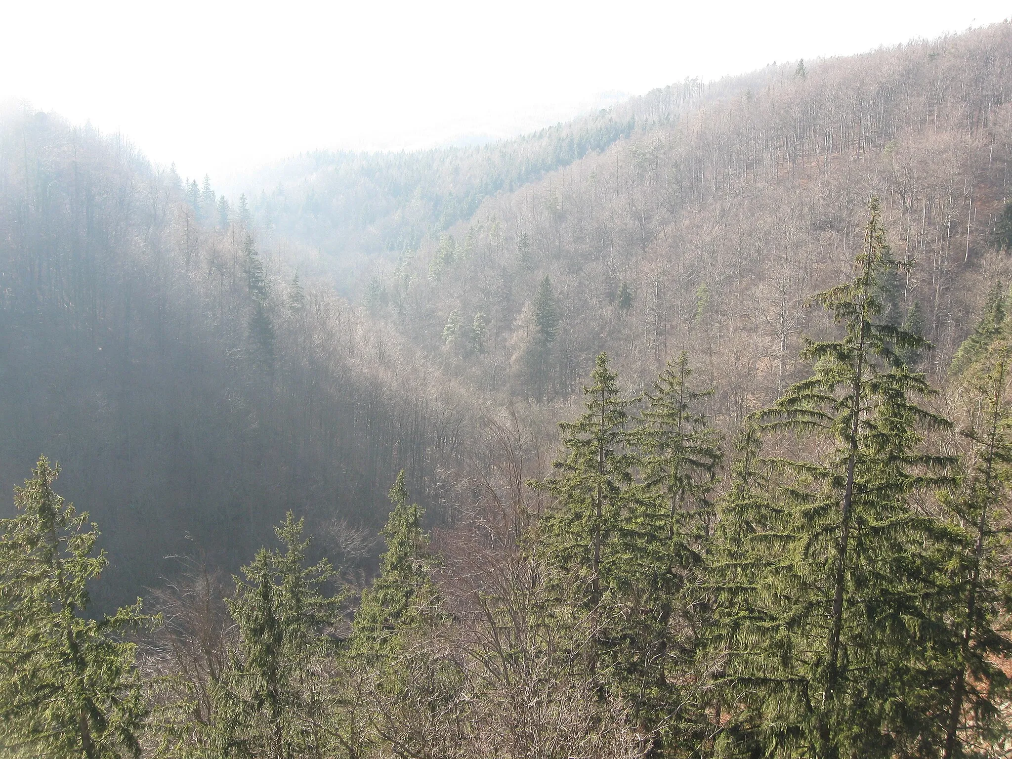 Photo showing: Přírodní rezervace Račí údolí, pohled z Čertových kazatelen na jihozápad proti proudu Račího potoka.