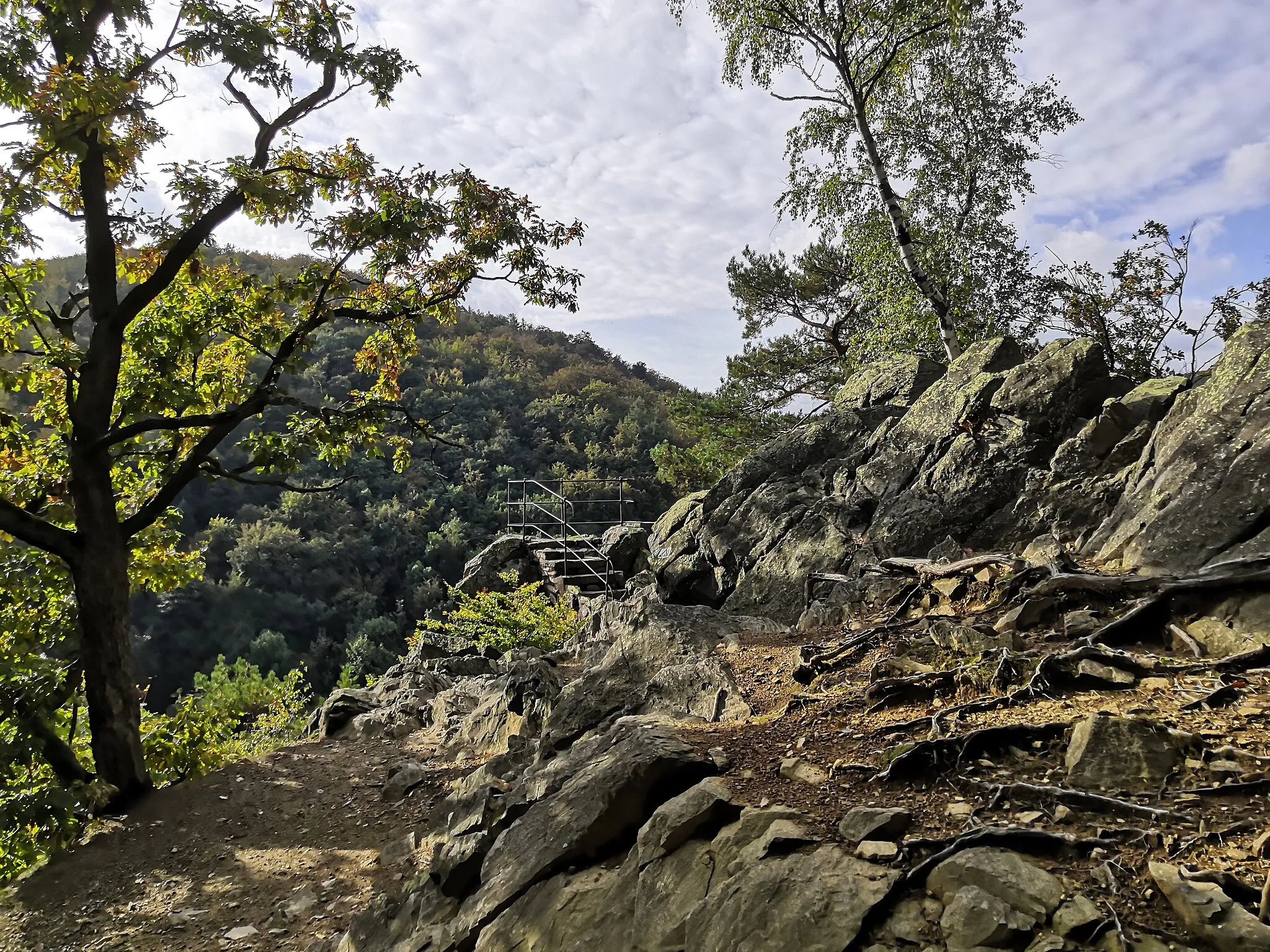 Photo showing: Javorník, Jeseník District, Czechia. Račí údolí nature reserve.