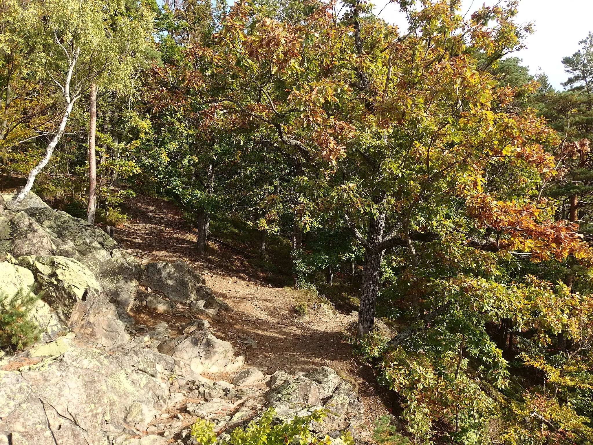 Photo showing: Javorník, Jeseník District, Czechia. Račí údolí nature reserve.