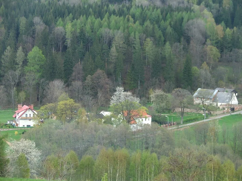 Photo showing: Młynowiec – houses in village (Poland, district Stronie Śląskie, Lower Silesian Voivodeship)