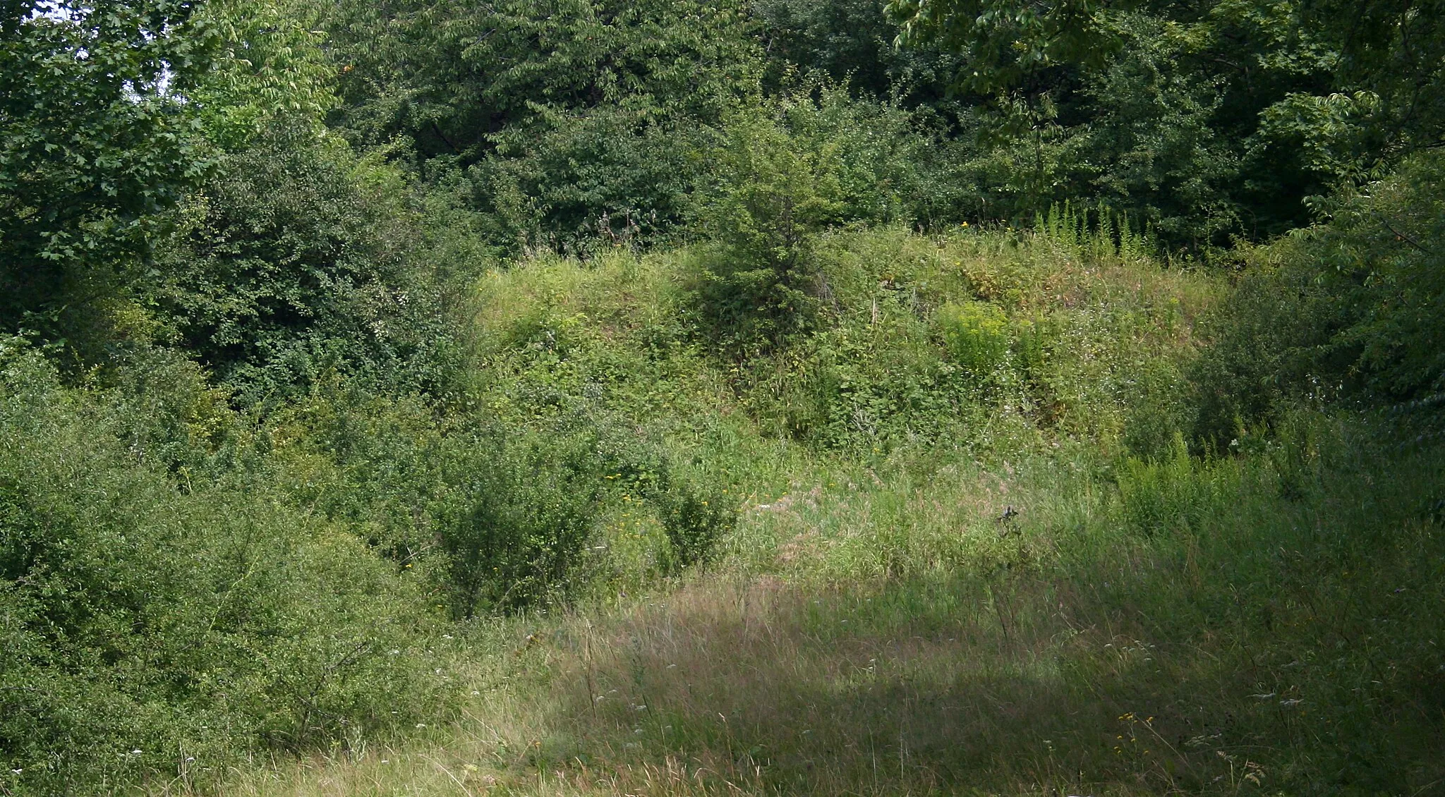 Photo showing: Dawna strzelnica w Bolkowie u podnóża Wzgórza Ryszarda - fragment