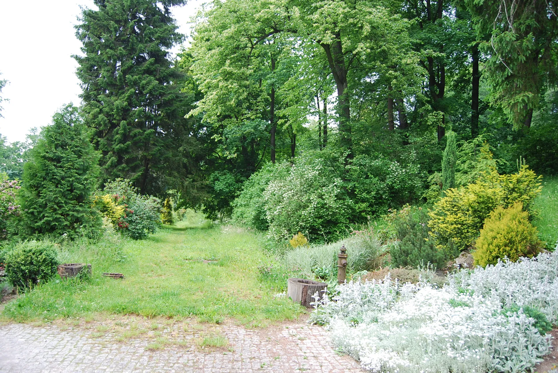 Photo showing: Park pałacowy w Komarnie, pow. jeleniogórski