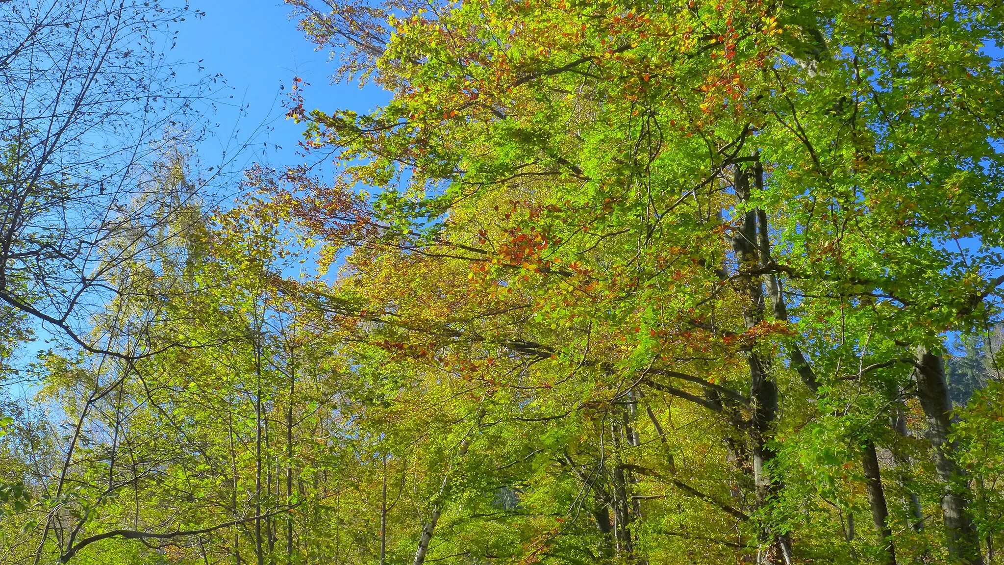 Photo showing: This is a a picture of a Natura 2000 protected area with ID