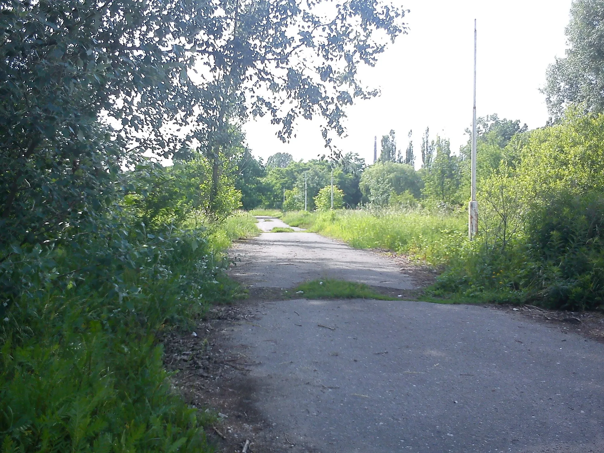 Photo showing: Park Dębina w Poznaniu - część zaniedbana przy Drodze Dębińskiej.