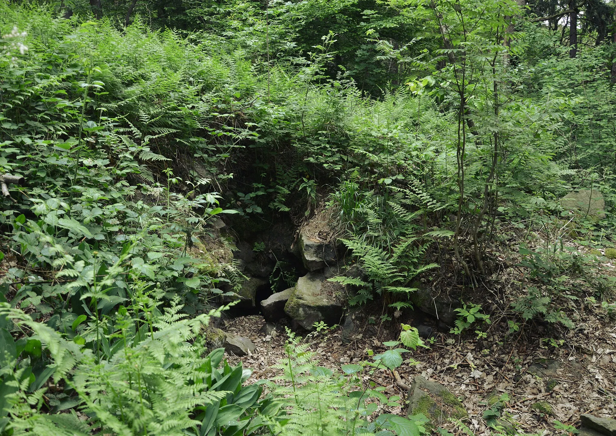 Photo showing: This photograph shows a natural monument of Poland registered under number