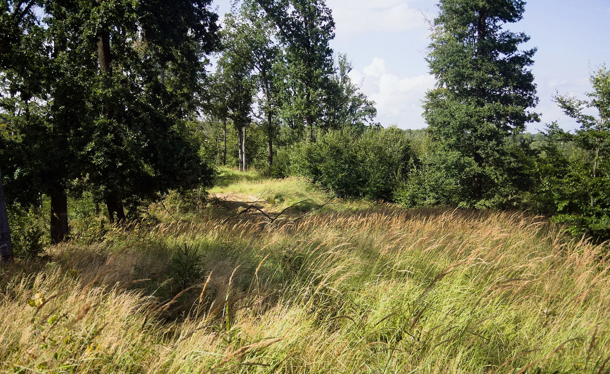 Photo showing: Miejsce dawnego grodziska Pirszyn w sąsiedztwie miejscowości Gradówek