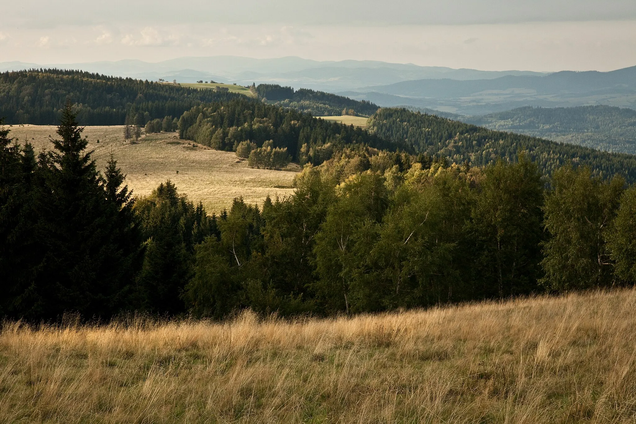 Photo showing: This is a a picture of a Natura 2000 protected area with ID