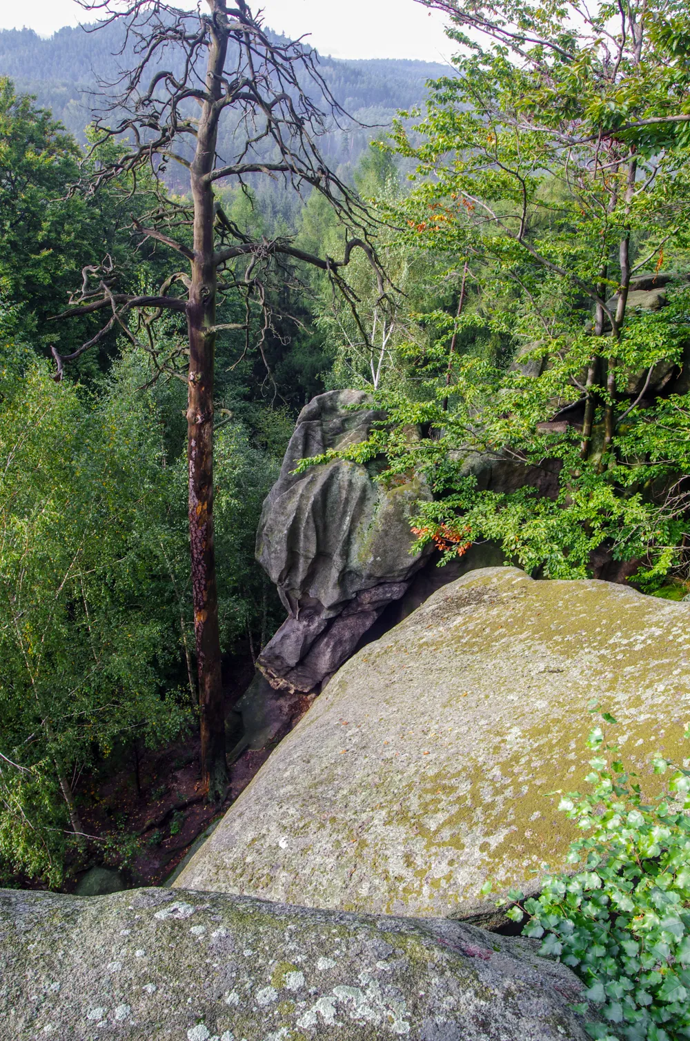 Photo showing: Národní přírodní památka Venušiny misky, Kobylá nad Vidnavkou, okres Jeseník