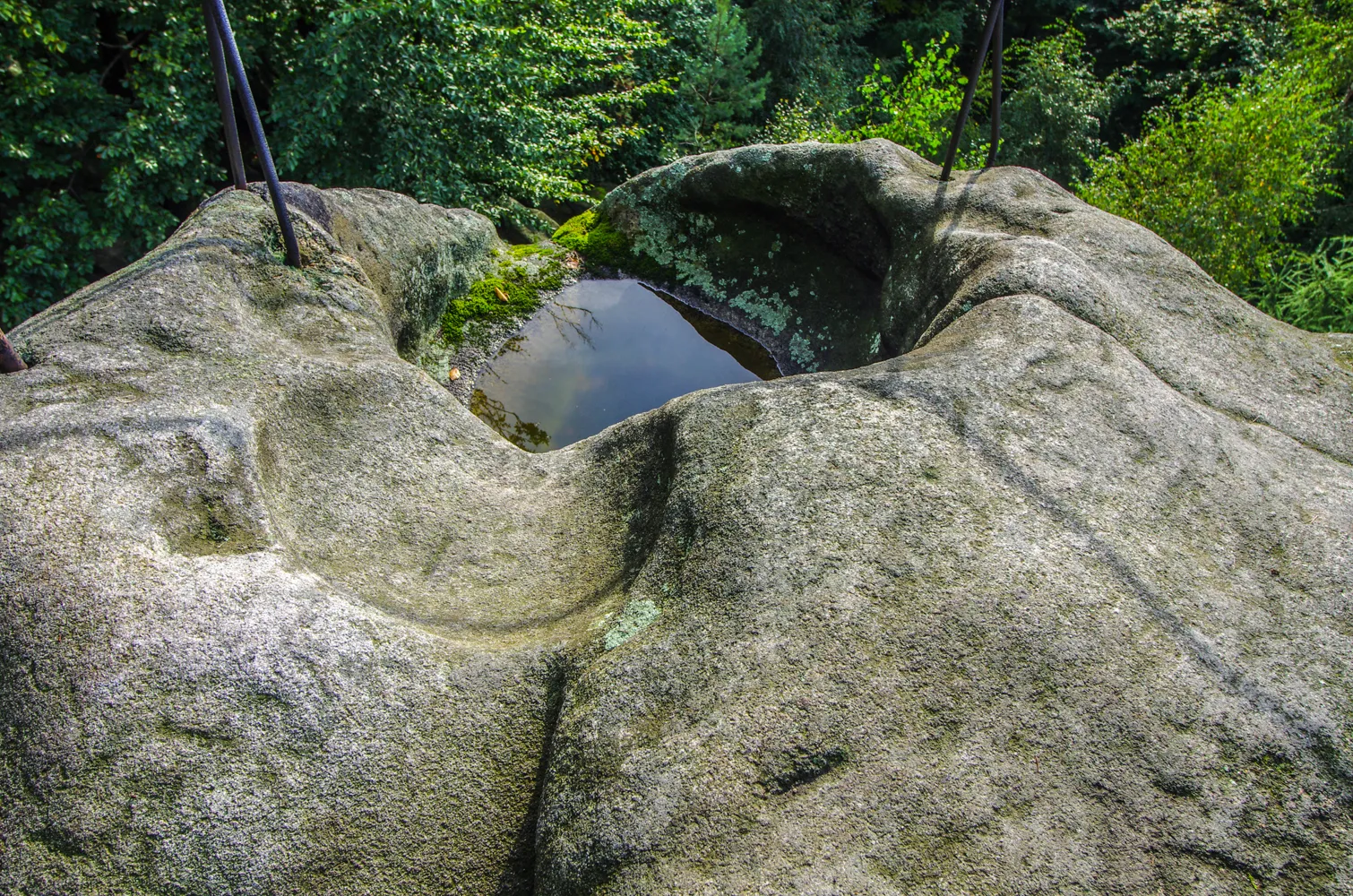 Photo showing: Národní přírodní památka Venušiny misky, Kobylá nad Vidnavkou, okres Jeseník