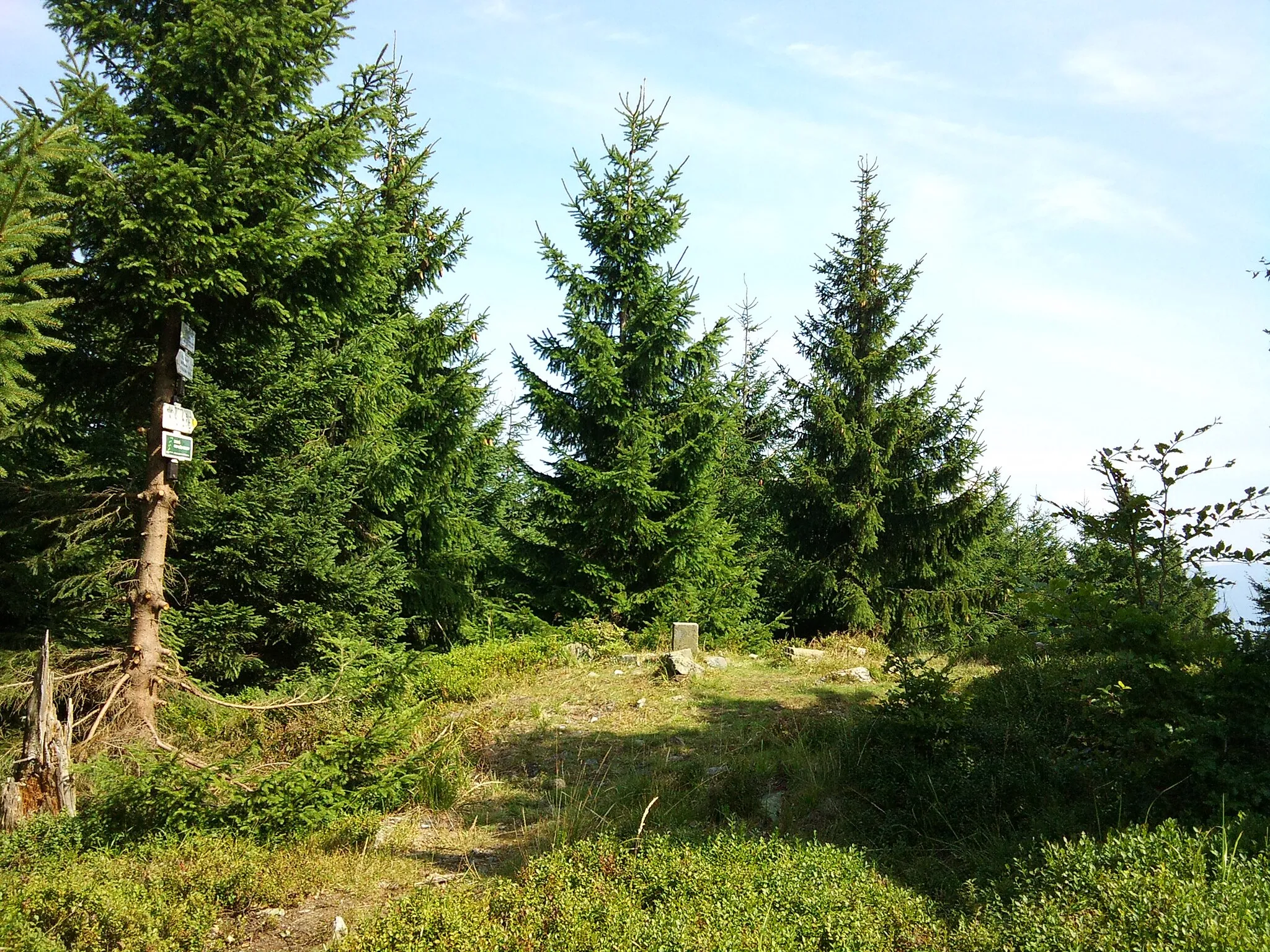 Photo showing: Summit of Lví hora in Rychleby Mountains.