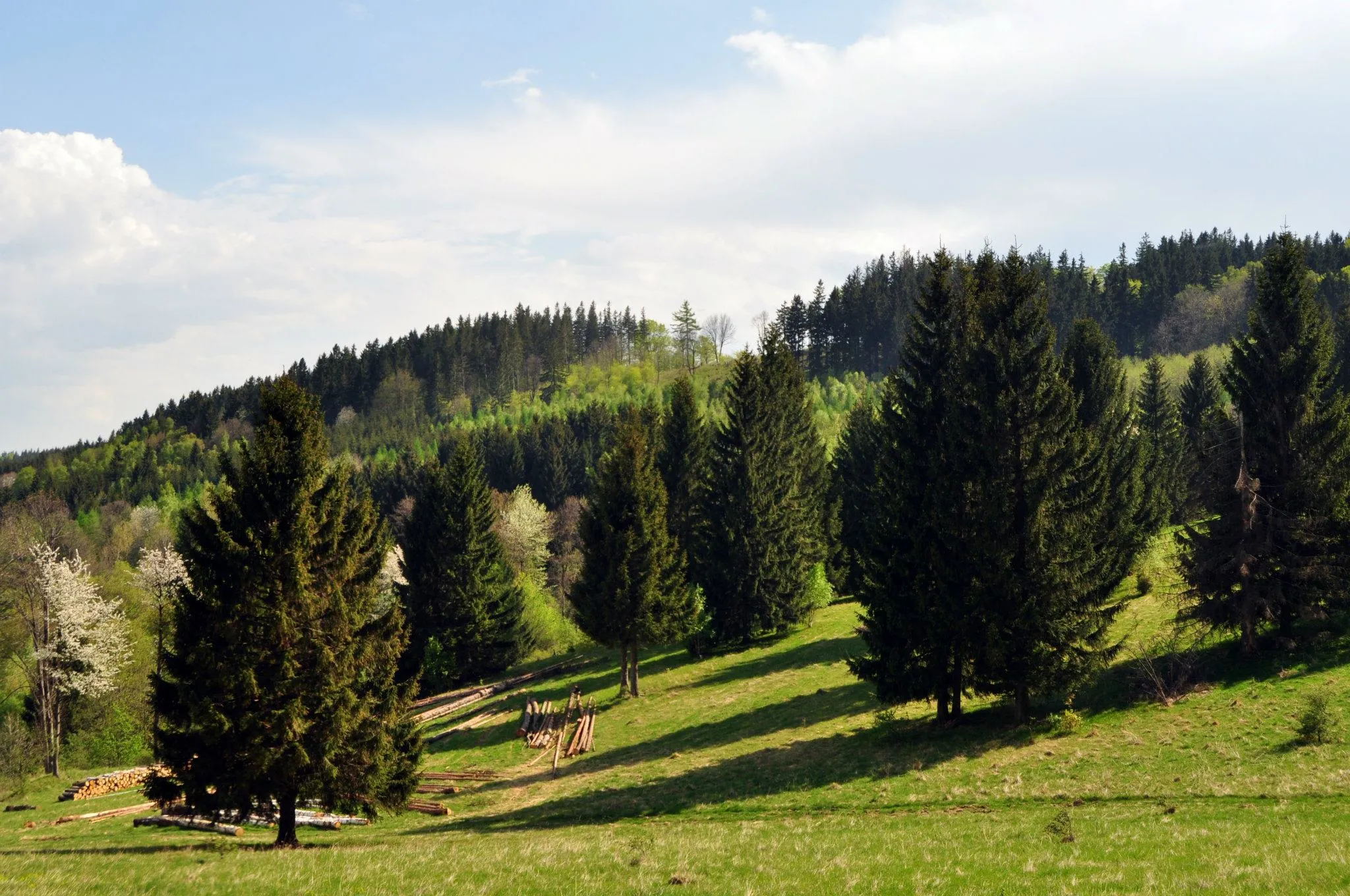 Photo showing: Park krajobrazowy Park Krajobrazowy Gór Sowich.