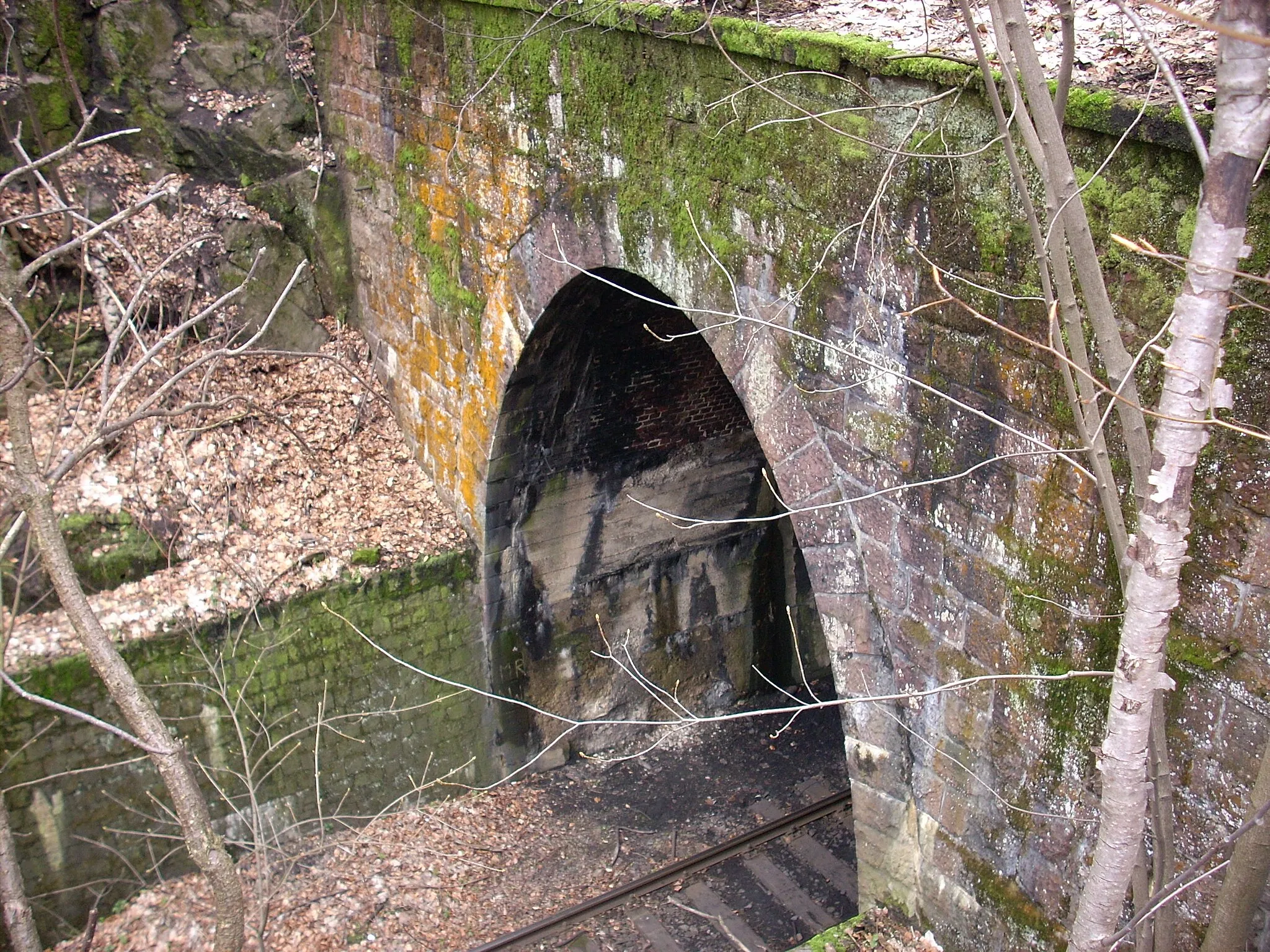 Photo showing: Jeden z wlotów tuneli pod Sajdakiem od strony Jedliny-Zdrój