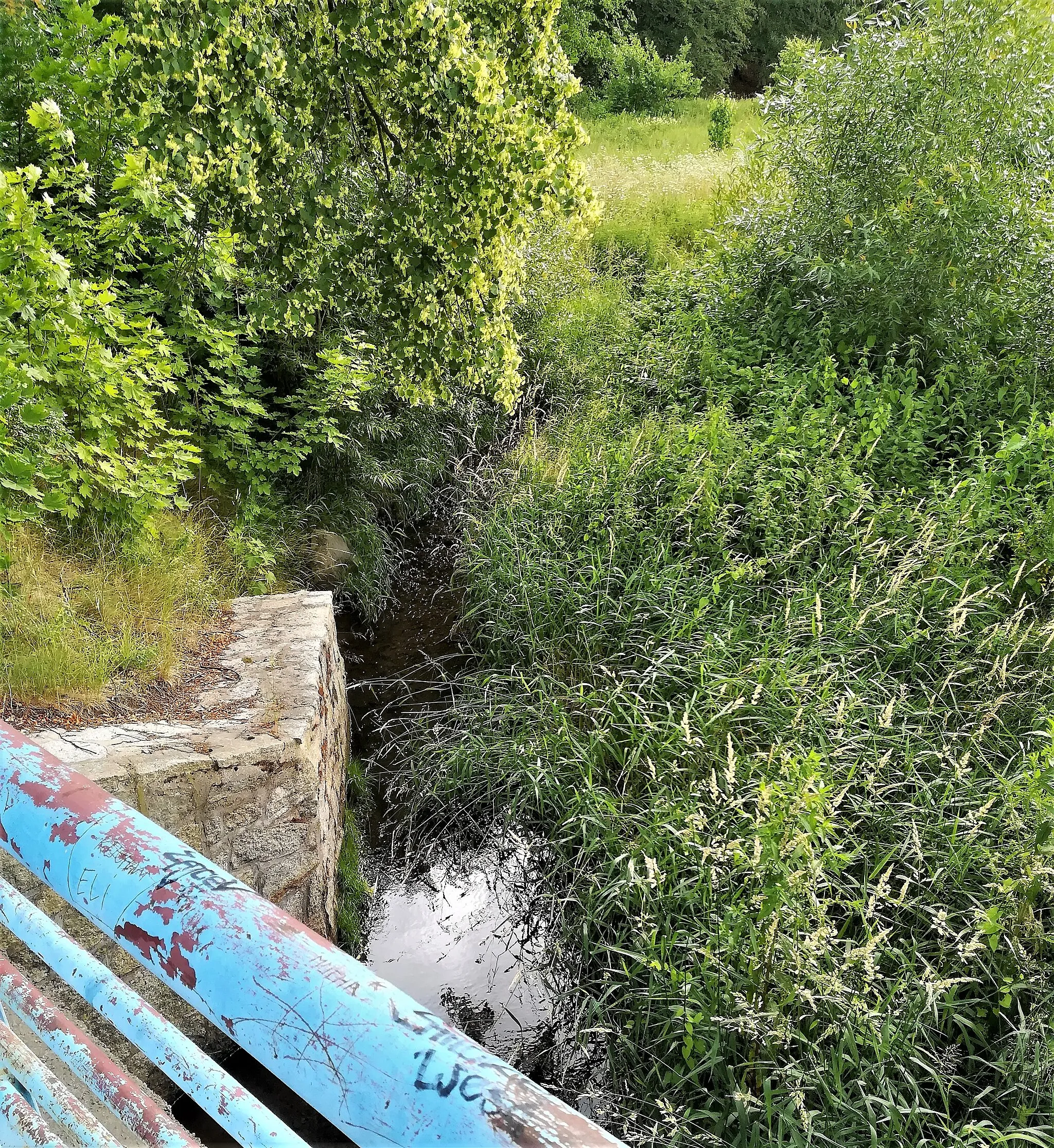 Photo showing: Ciek Jedlinka w Jedinie-Zdroju przy ul. Zamkowej.