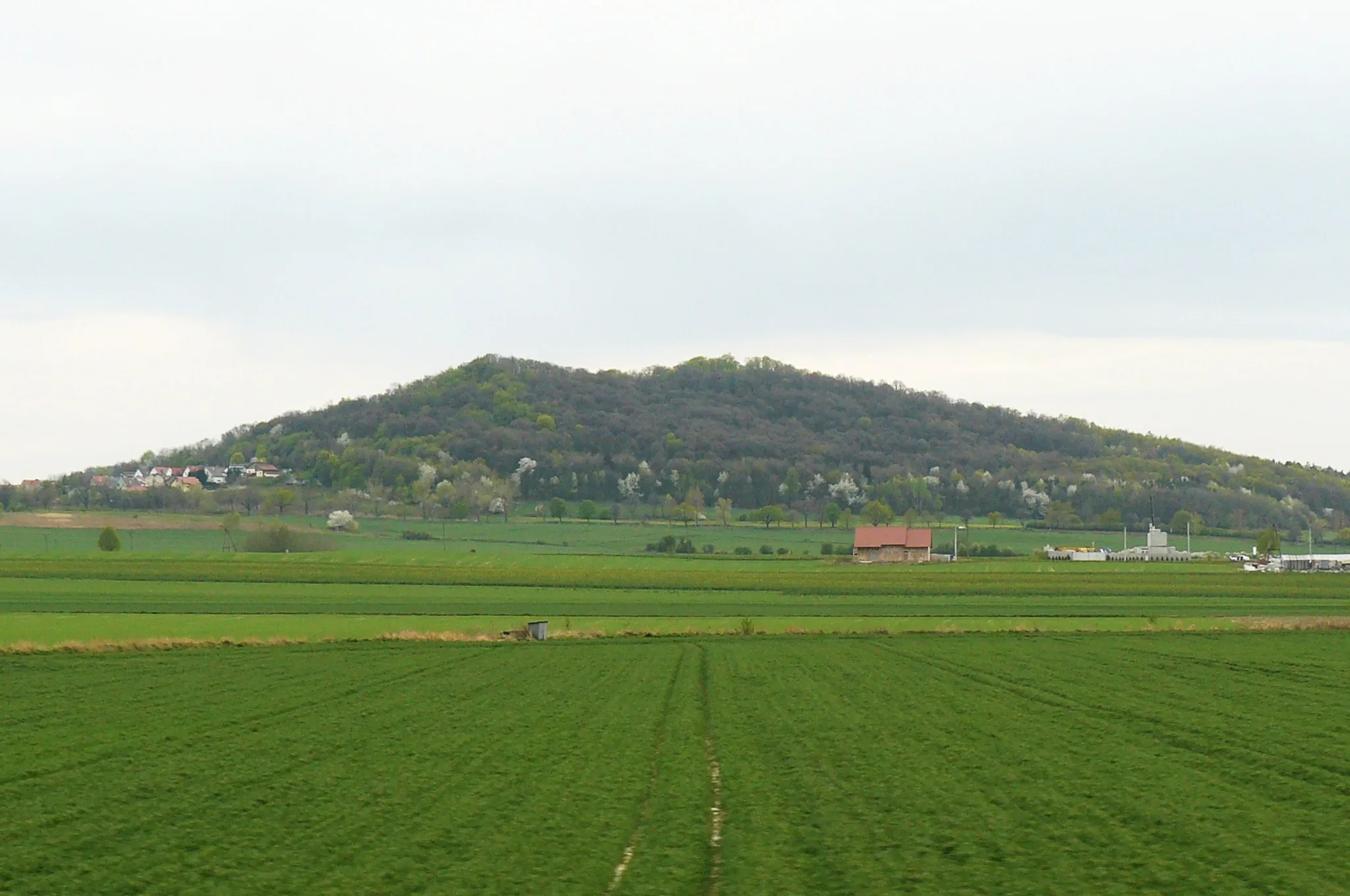 Photo showing: Góra Krzyżowa koło Strzegomia.