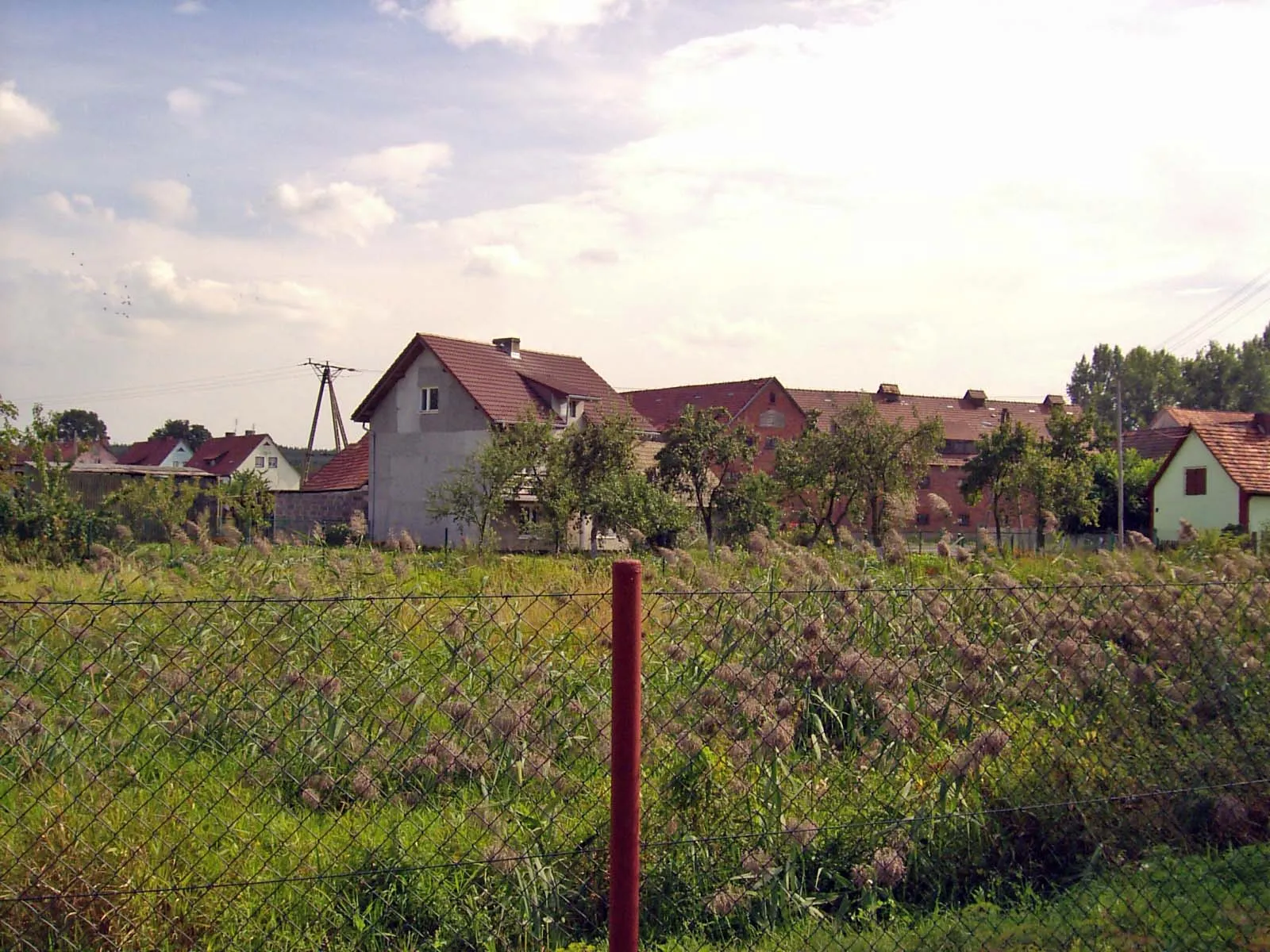 Photo showing: Widok ogólny.