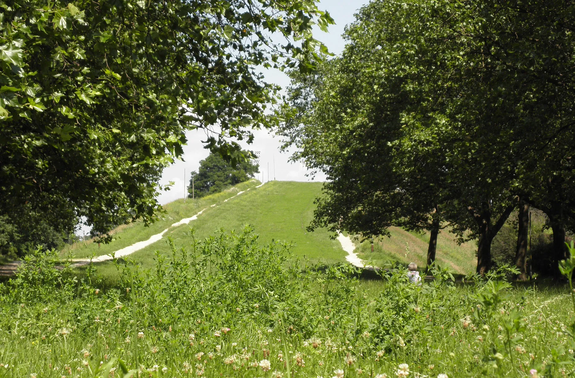 Photo showing: Wzgórze Gajowickie - widok od ulicy Hallera