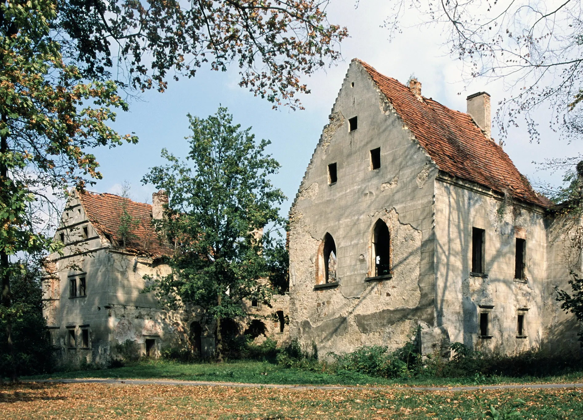 Photo showing: Warta Bolesławiecka - dwór (ruina)