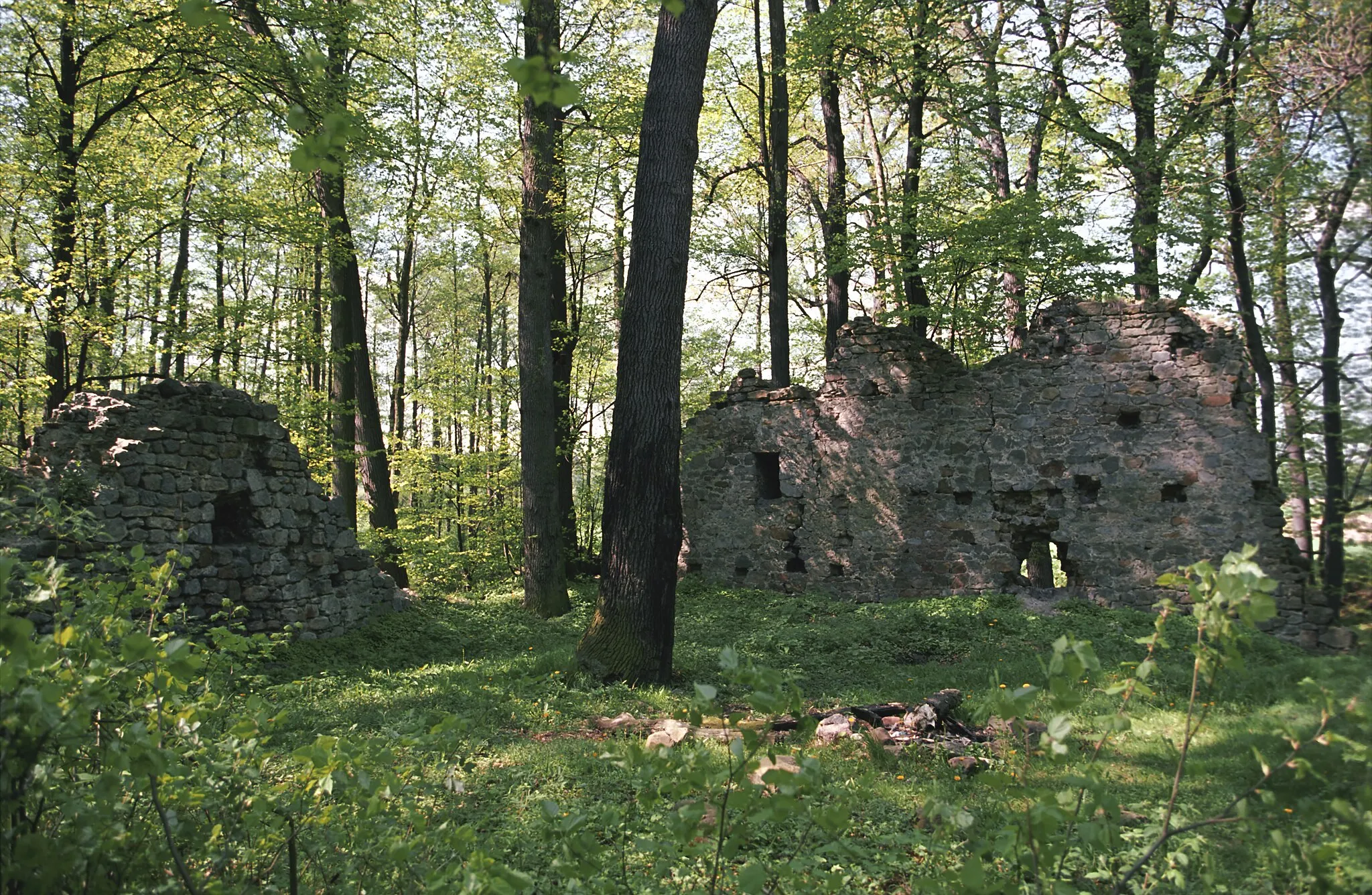 Photo showing: Poland, Warta Bolesławiecka Castle