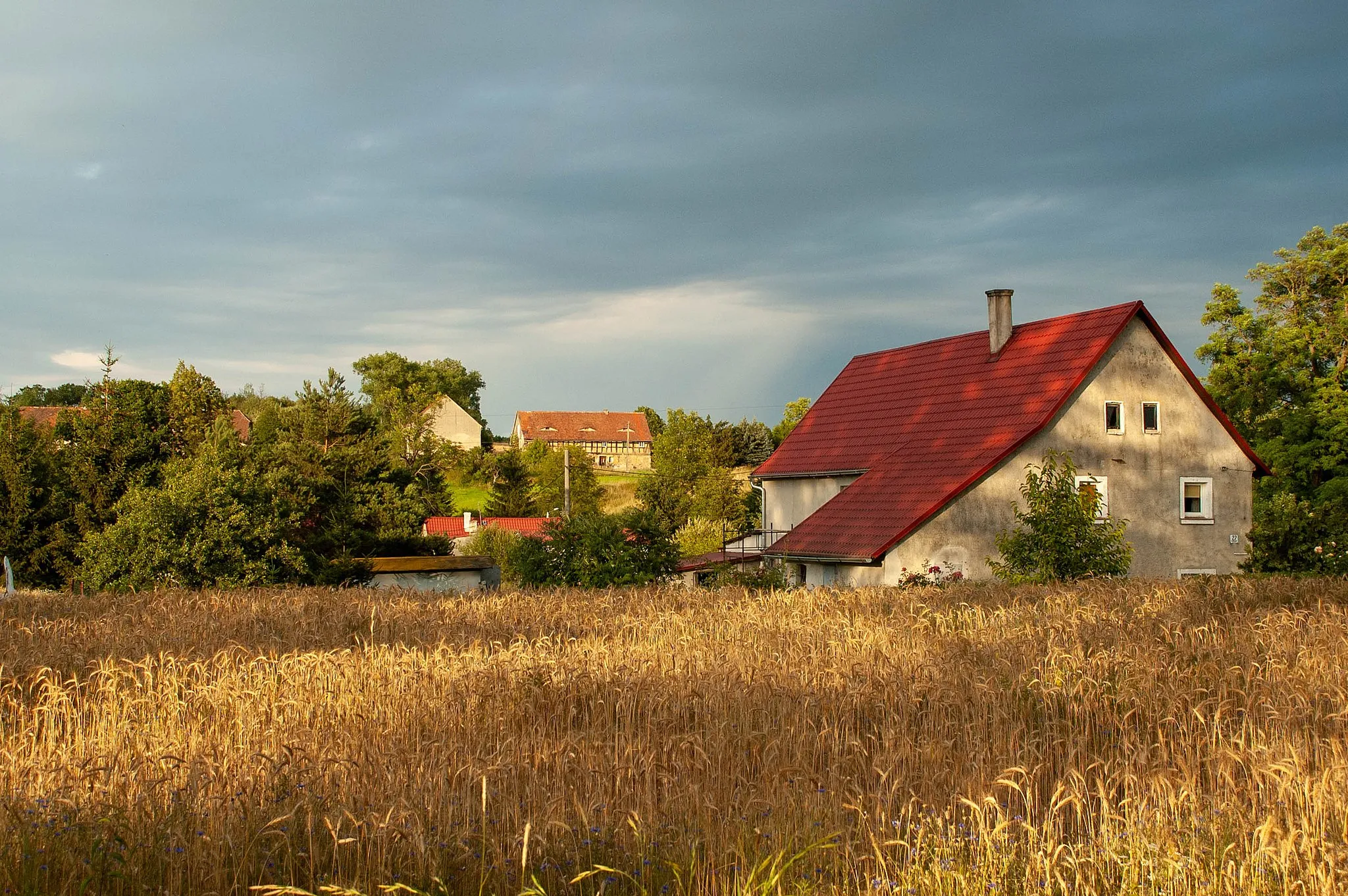 Photo showing: This photograph was created as a part of Wikiexpedition Lower Silesia, a project supported by Wikimedia Poland grant.