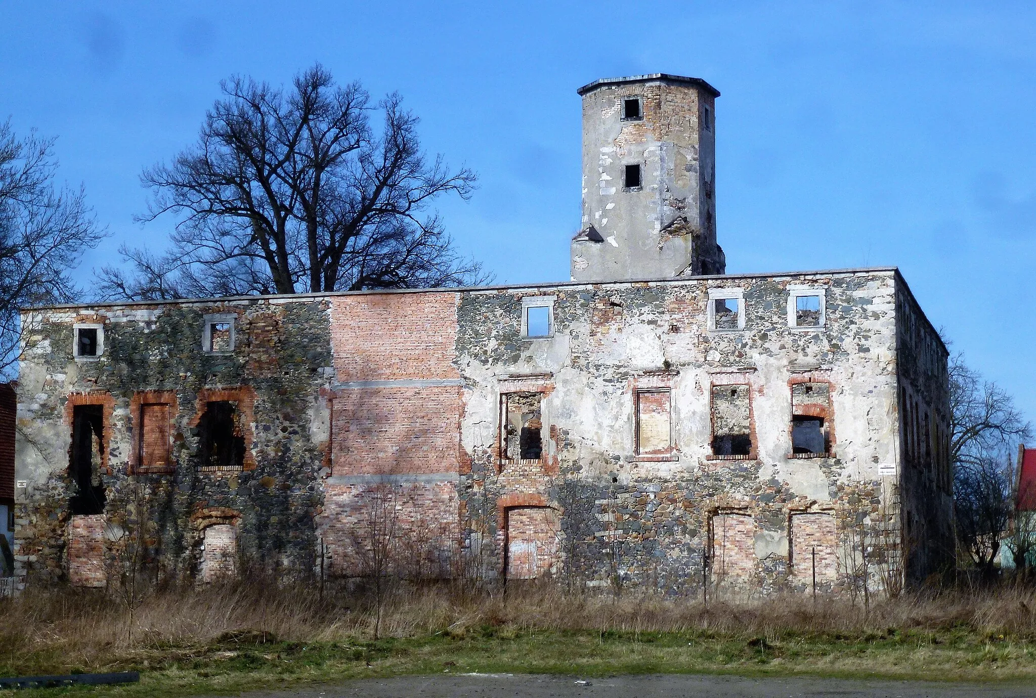 Photo showing: Pisarzowice Schloss