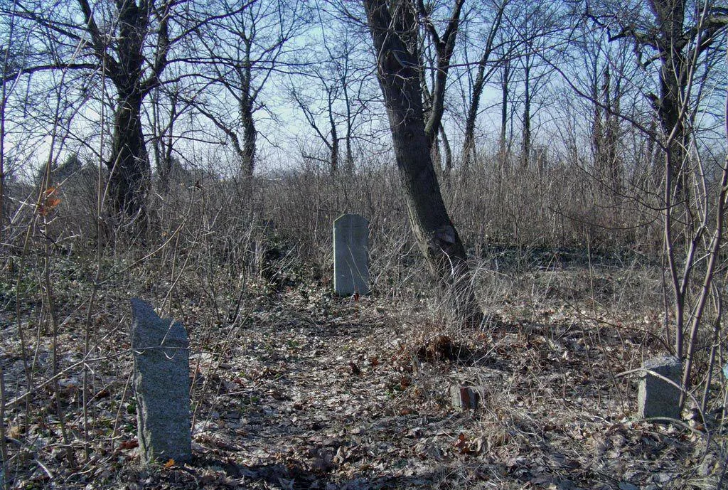 Photo showing: Zapomniany cmentarz w Pietrzykowicach.