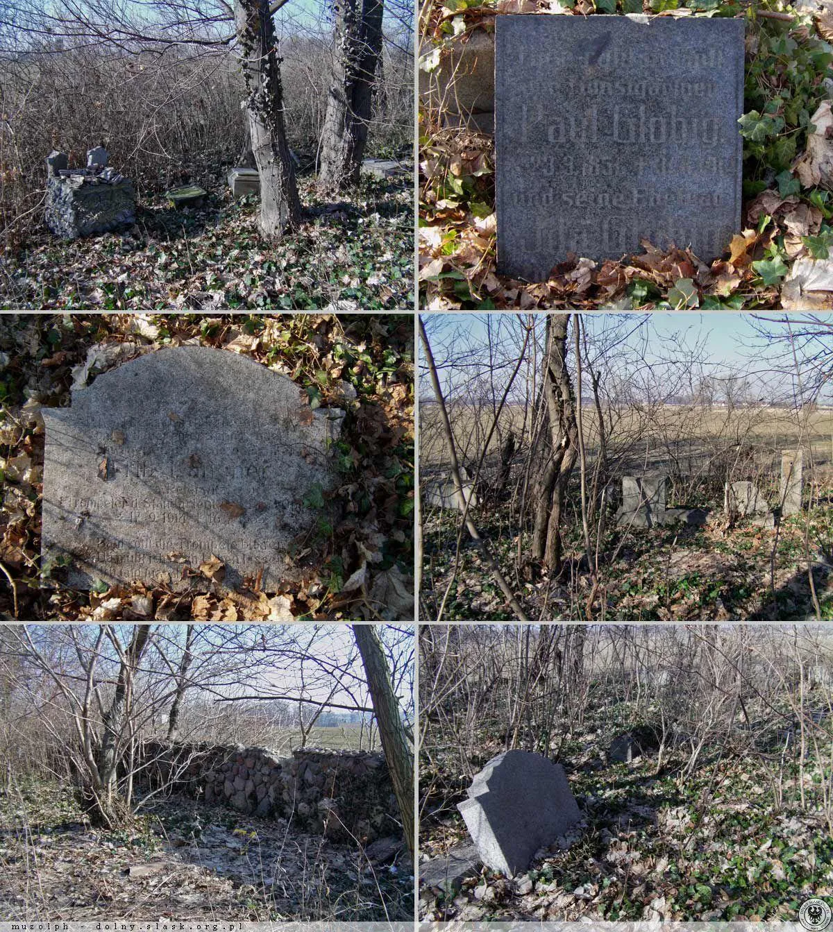 Photo showing: Cmentarz niemiecki w Pietrzykowicach.