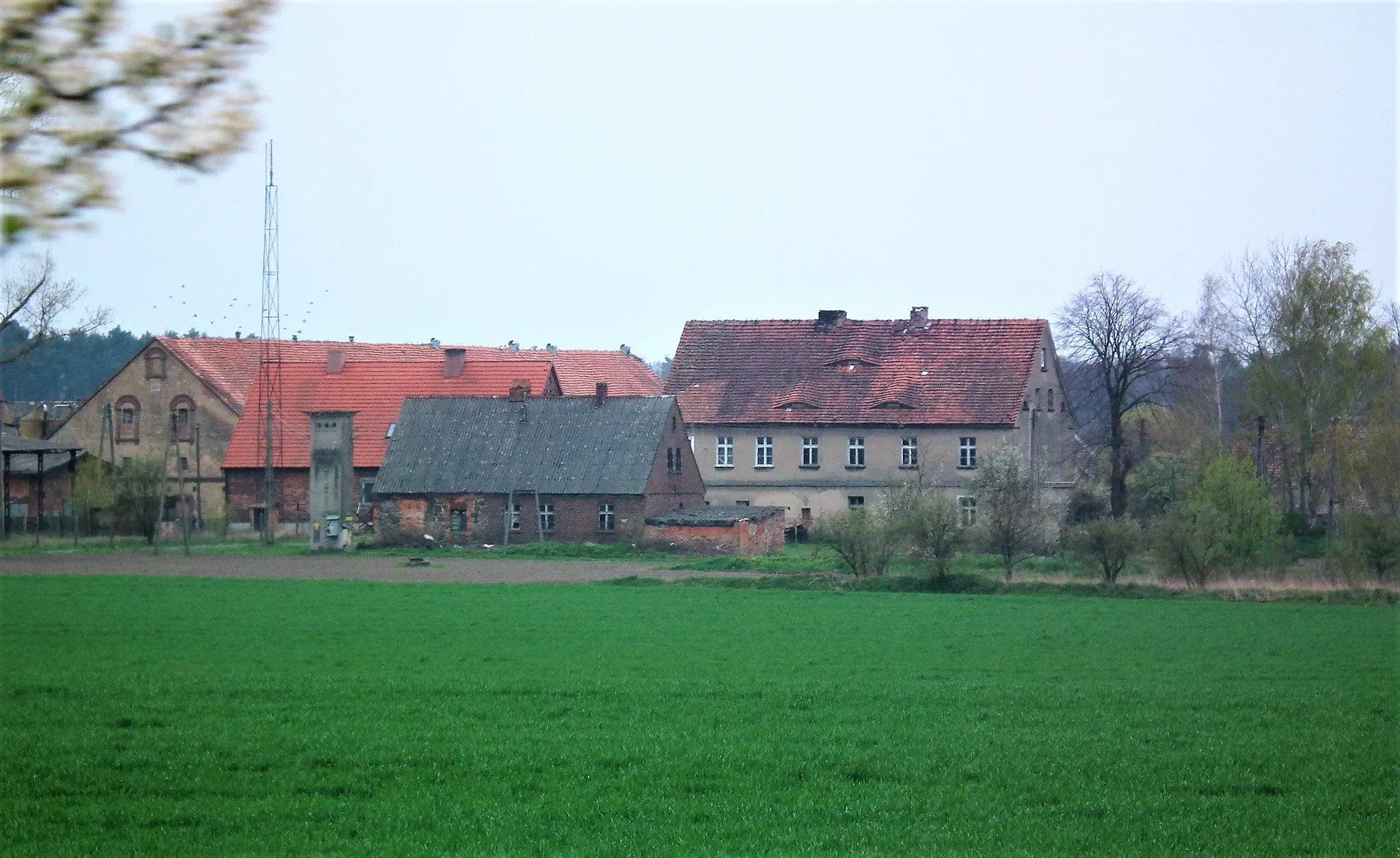 Photo showing: Wieś Dzików w gm. Gaworzyce.