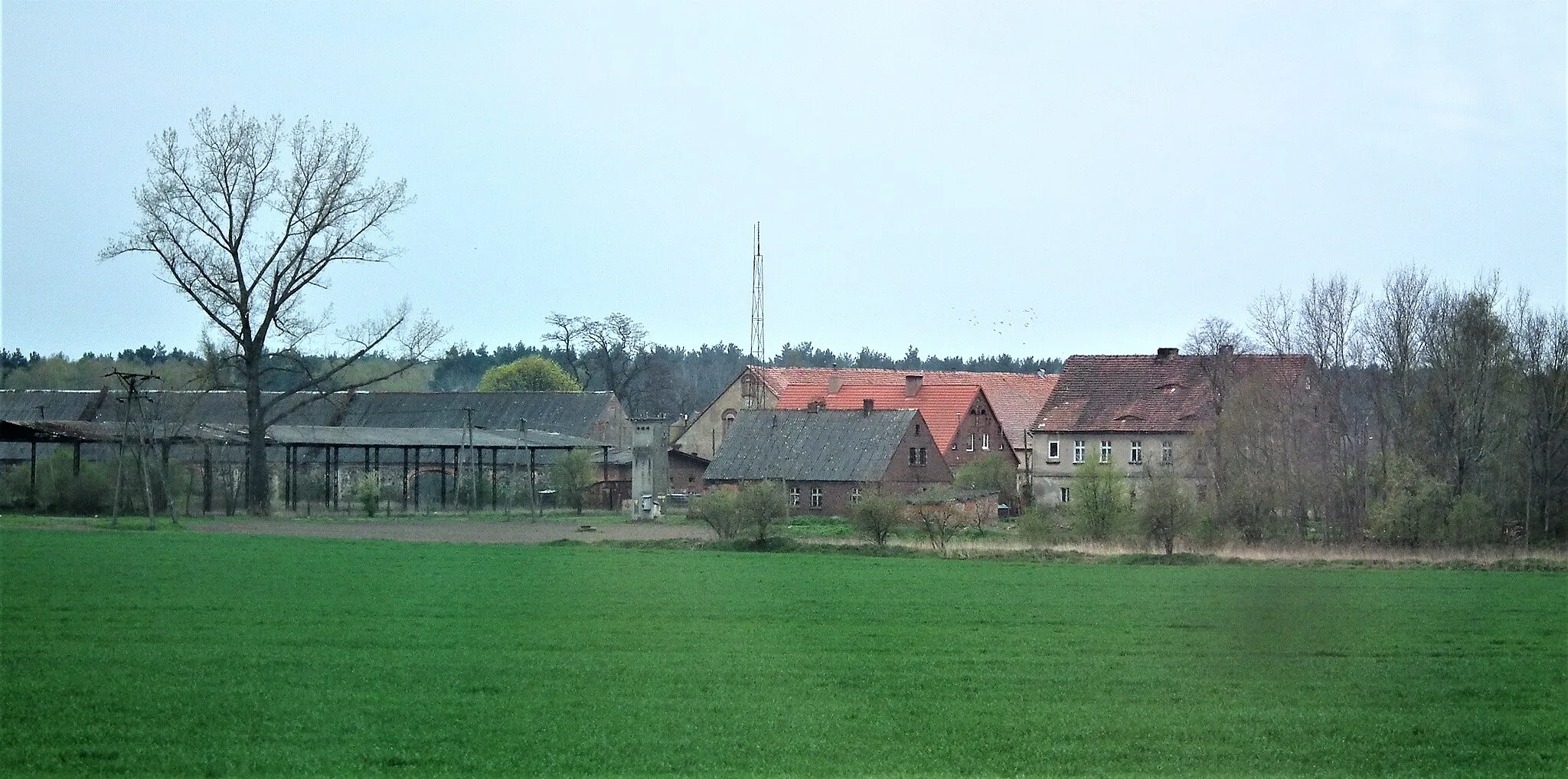 Photo showing: Wieś Dzików w gm. Gaworzyce.