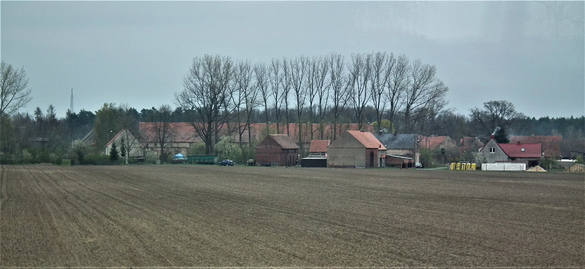 Photo showing: Wieś Dzików w gm. Gaworzyce.