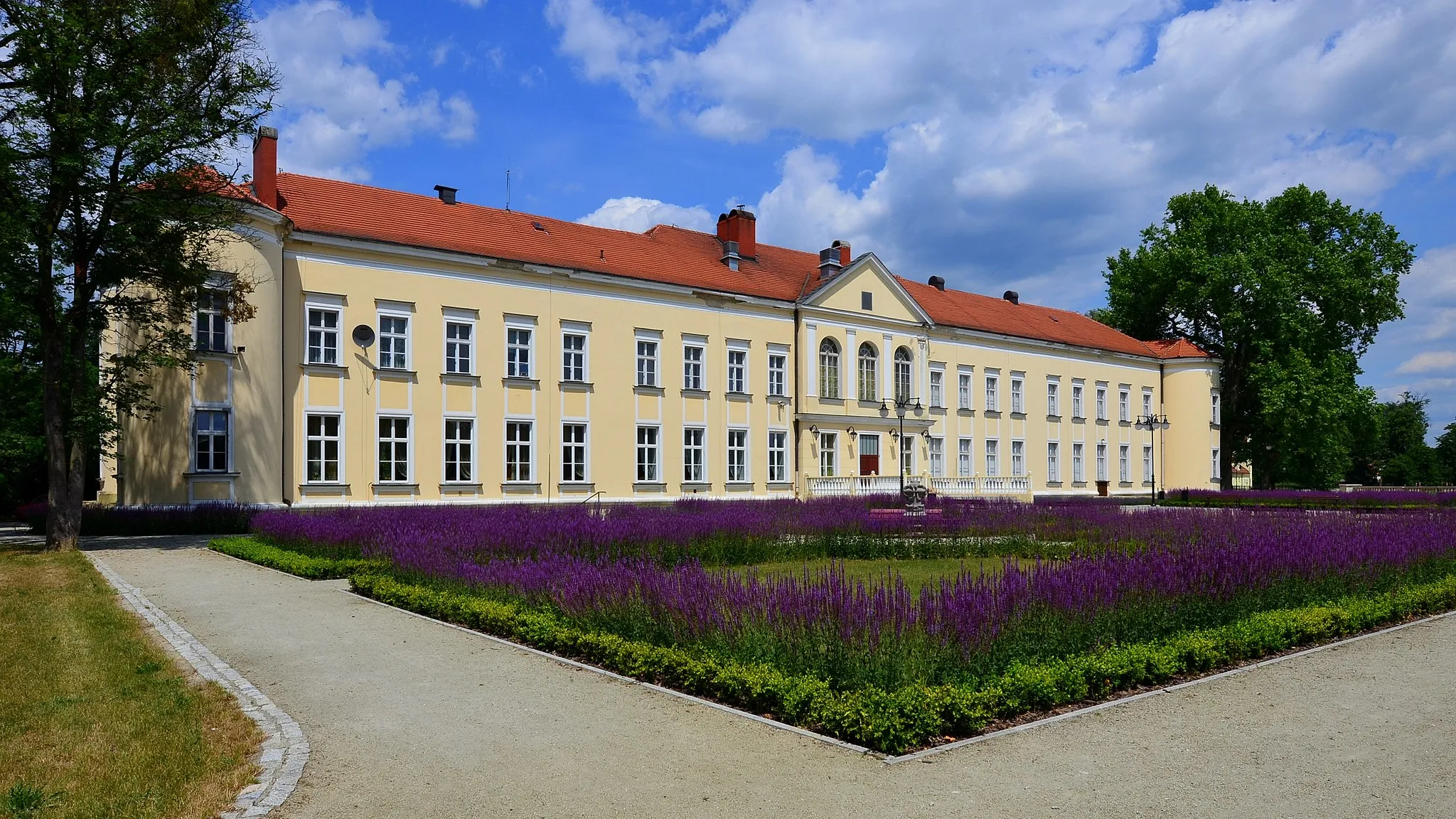 Photo showing: The palace in Brzeg Dolny