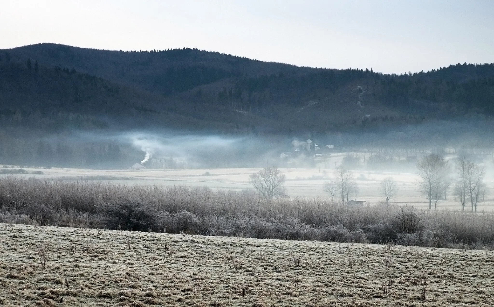 Photo showing: Mists over Wolibórz