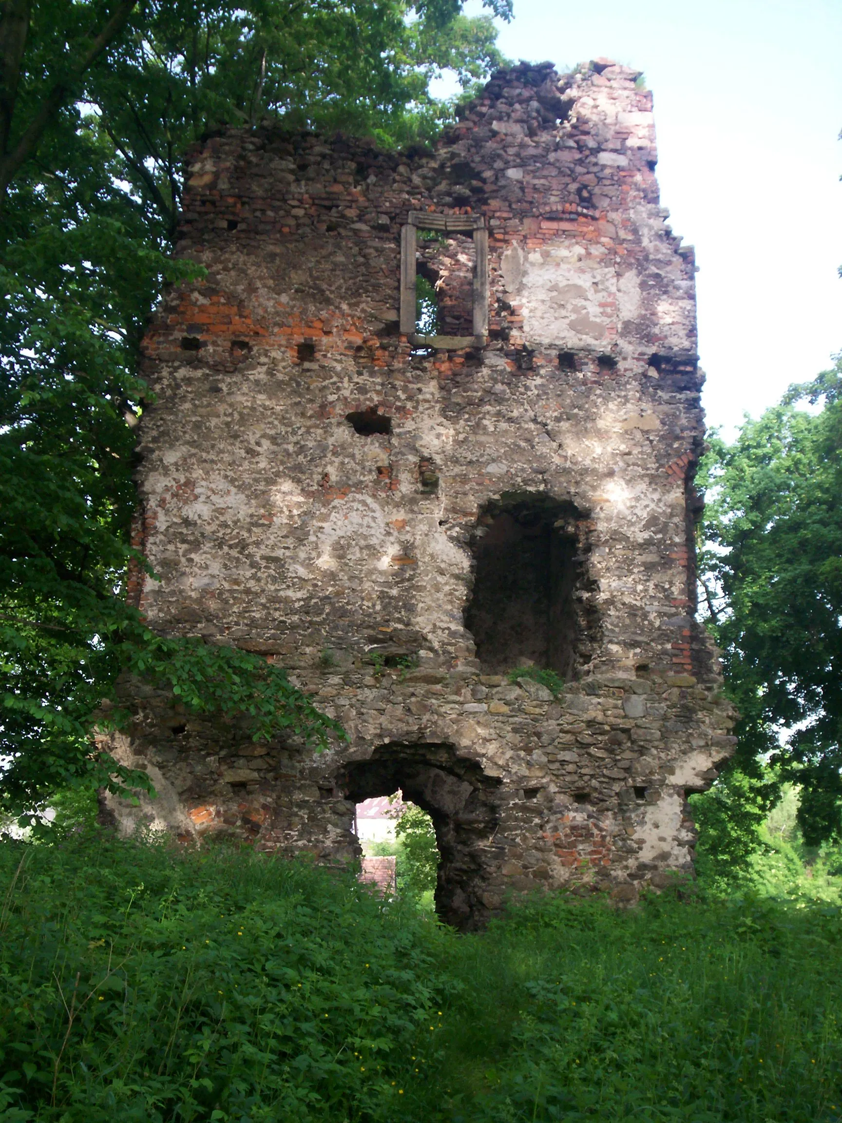 Photo showing: Stara Kamienica, ruiny zamku.