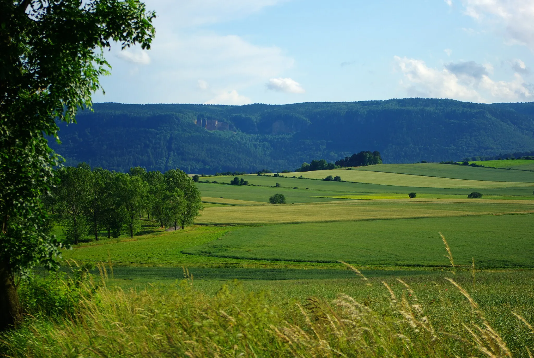 Photo showing: Gajów - drogą do Radkowa