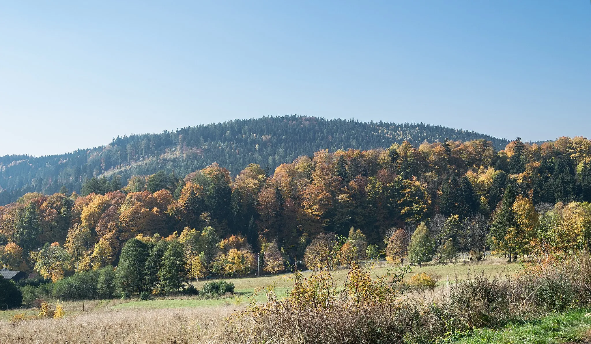 Photo showing: Gontowa, Góry Sowie, Sudetes