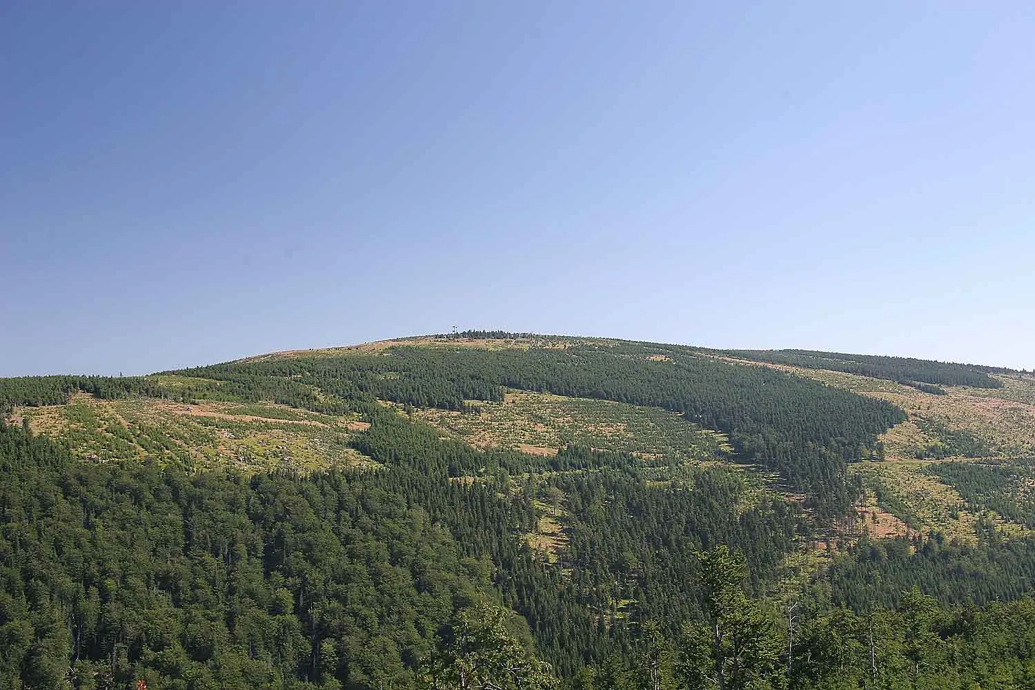 Photo showing: Jizerské hory - Smrk z Paličníku, Jizera Mountains, district Liberec, Czech Republic
autor: Prazak

date: 18. 7. 2006